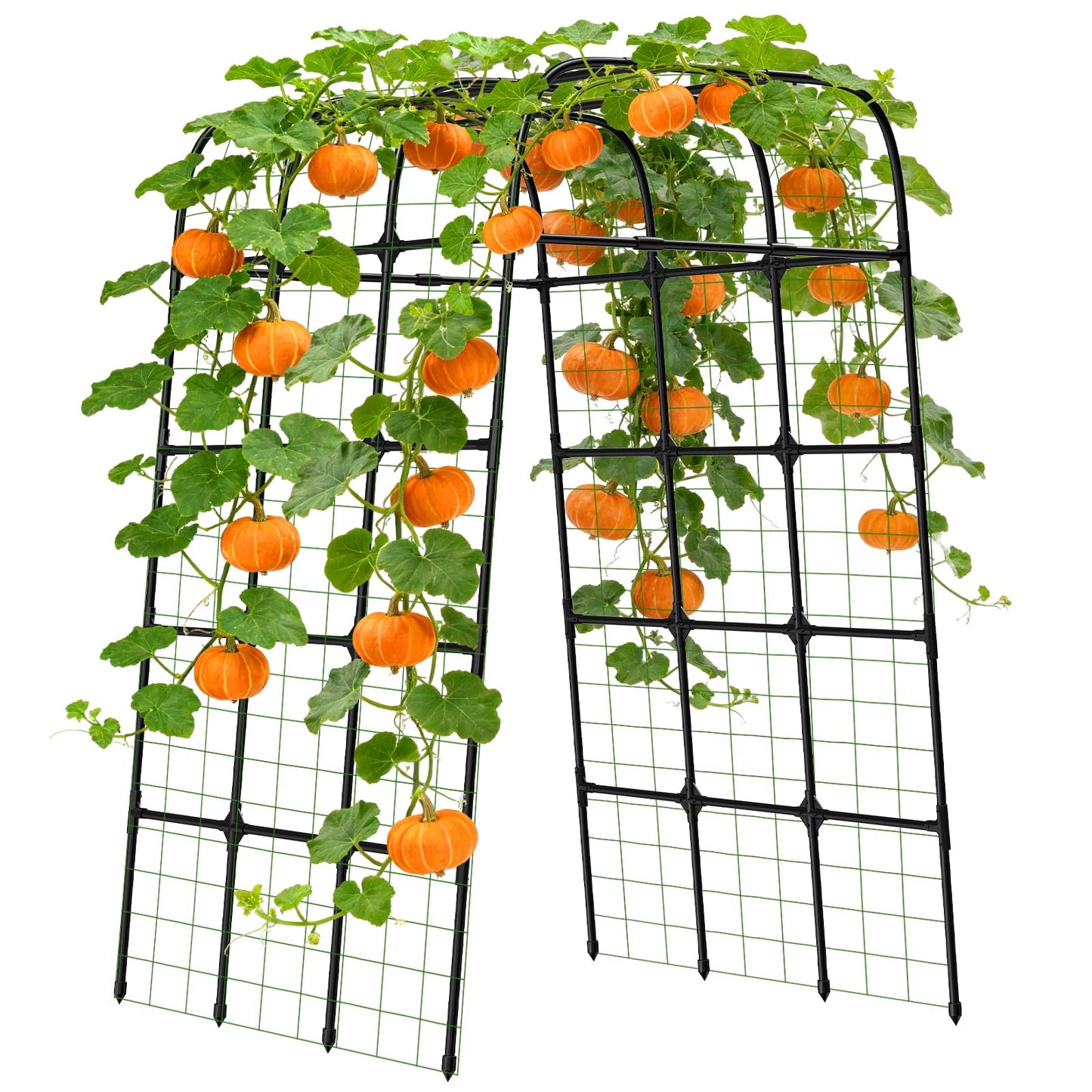 7FT Garden Trellis Arch for Climbing Plants – Tall Outdoor Metal Trellis for Vegetables, Peas, Tomatoes,﻿ Cucumber Trellis Arch & Vertical Garden Climber Plant Support for Vine Plants