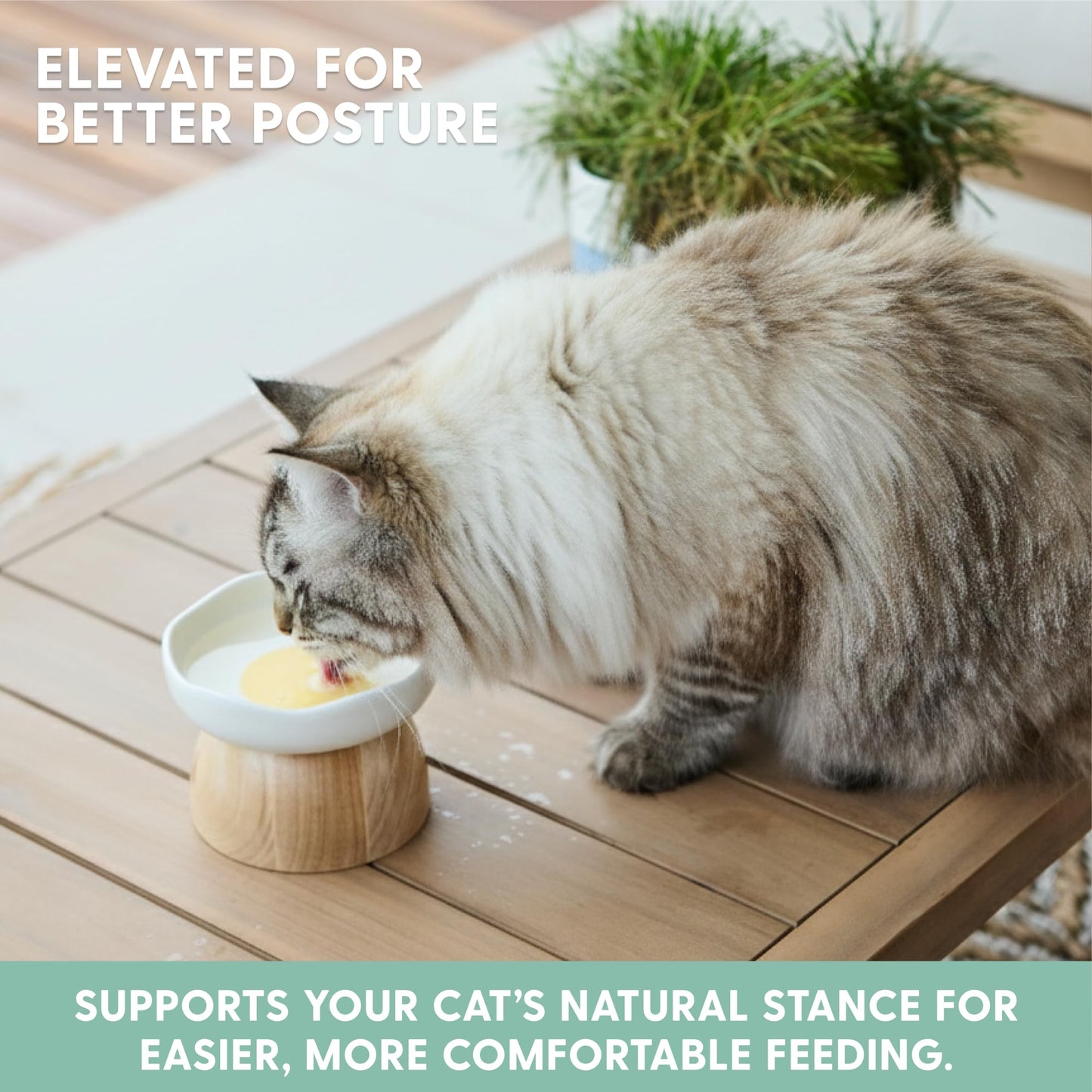 The Cat Ladies Egg Cat Food Bowl - Cute Cats Bowl - Elevated Ceramic Food Bowls - Ceramic Raised Food Bowls - Elevated for Spinal Alignment - Prevents Whisker Fatigue - Wood StandCat Bowl
