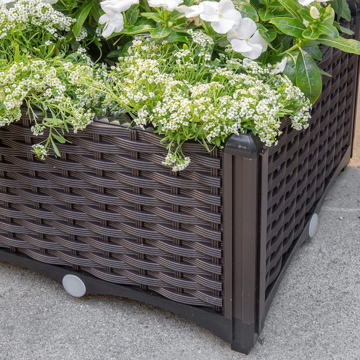 Barton 2 Pieces Raised Garden Bed Brown Plastic w/Self-Watering Design Outdoor Elevated Planter Box Kit Wheels Mobile