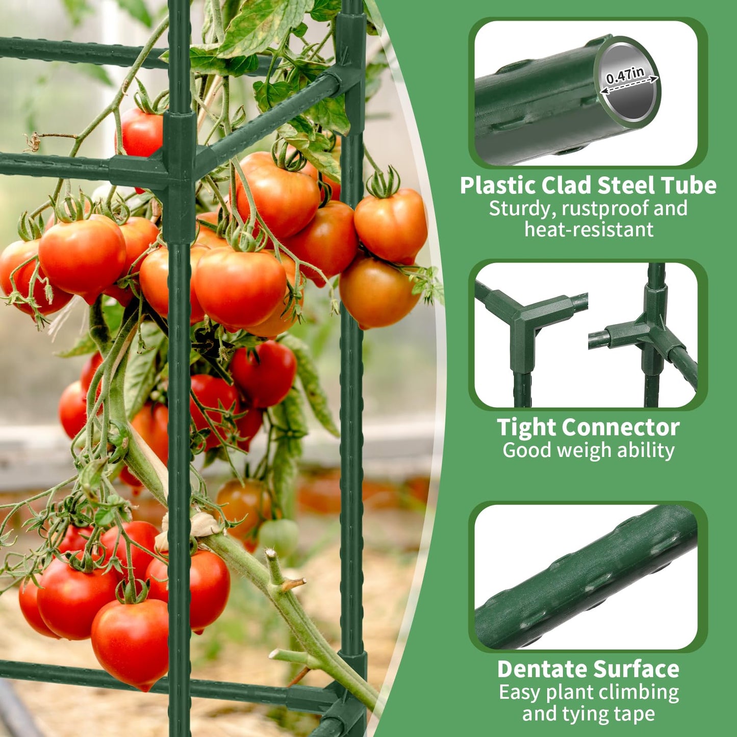 ROADPLUM 2 Pack 48" Tomato Cage for Garden, Heavy Duty Adjustable Plastic Coated Steel Pipe Tomato Stakes Trellis Plant Cages for Vegetable, Fruit, Flower, Rose Vine Climbing Plants