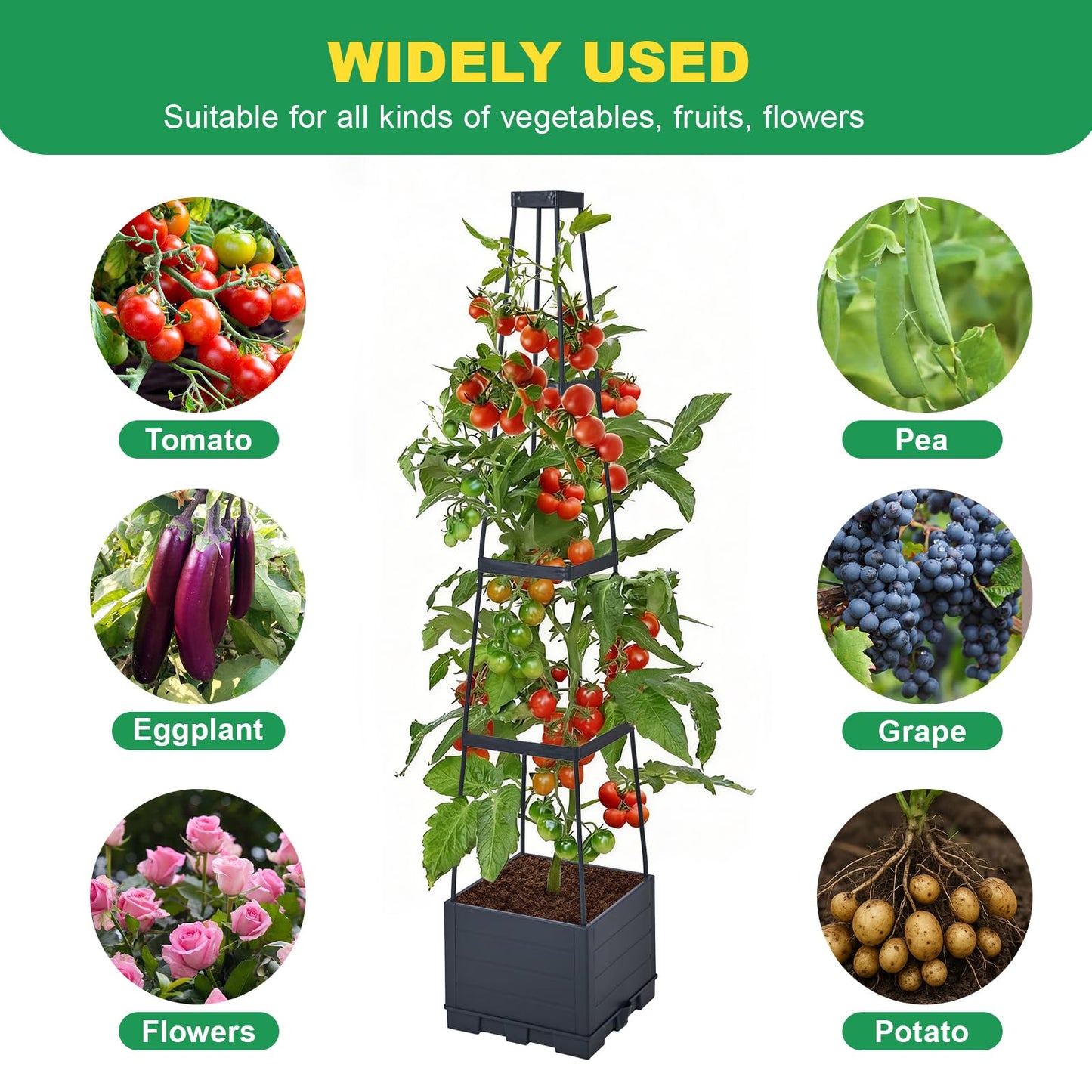 Raised Garden Bed, Tomato Cages for Garden, Garden Bed, Tomato Cage, Raised Garden Beds Outdoor, Planter Box with Trellis, 57" Self-Watering Tomato Planter for Climbing Plants Vegetables Flowers