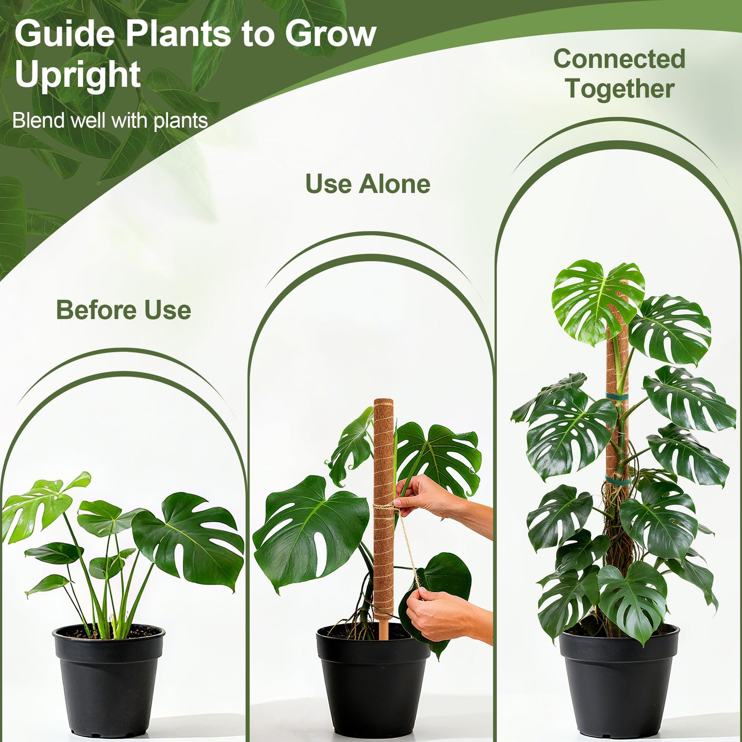 48 Inch Monstera Plant Support, 4 Pack 16 inch Moss Pole for Monstera & Climbing Plants Coco Coir Plant Support, Plant Ties Included