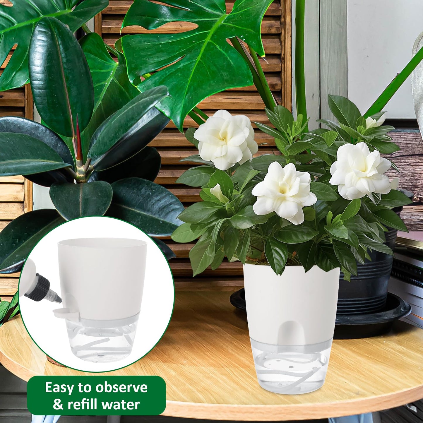 LOPYXBR 15 PCS 4 Inch Self Watering Pots for Indoor Plants Small Self Watering Planter with Self Watering Wick White Clear Plastic African Violet Pots Self Watering Plant Pot for Indoor House Plants