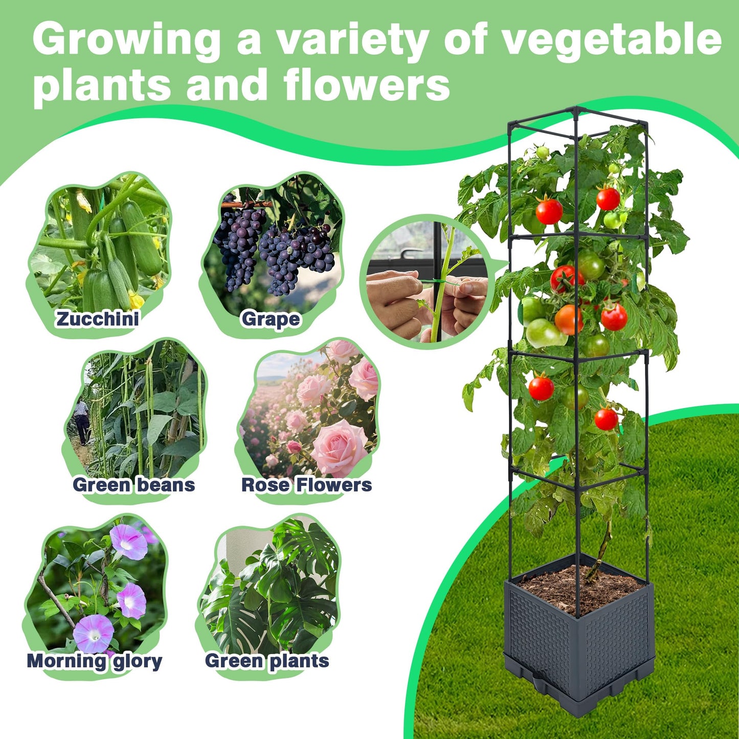 Sumloty Raised Garden Bed Planter Box, 2 Pack 56" Self-Watering Tomato Planter with Trellis for Climbing Vegetables Plants Grape Fruit Flowers,Use for Indoor Outdoor Garden Patio
