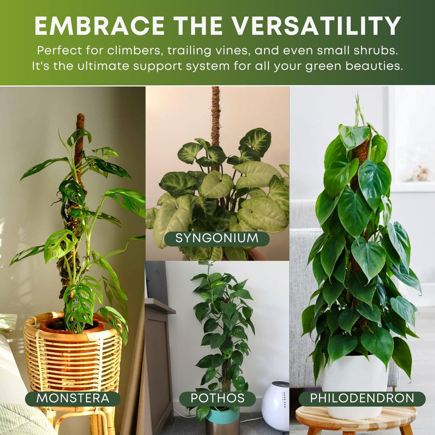 Auraville Bendable Moss Pole for Plants | 2 Pack 48 Inch Tall Moss Pole Monstera Plant Support | Large Poles for Climbing Plants | Handmade Coco Coir Plant Pole Sticks for Pothos