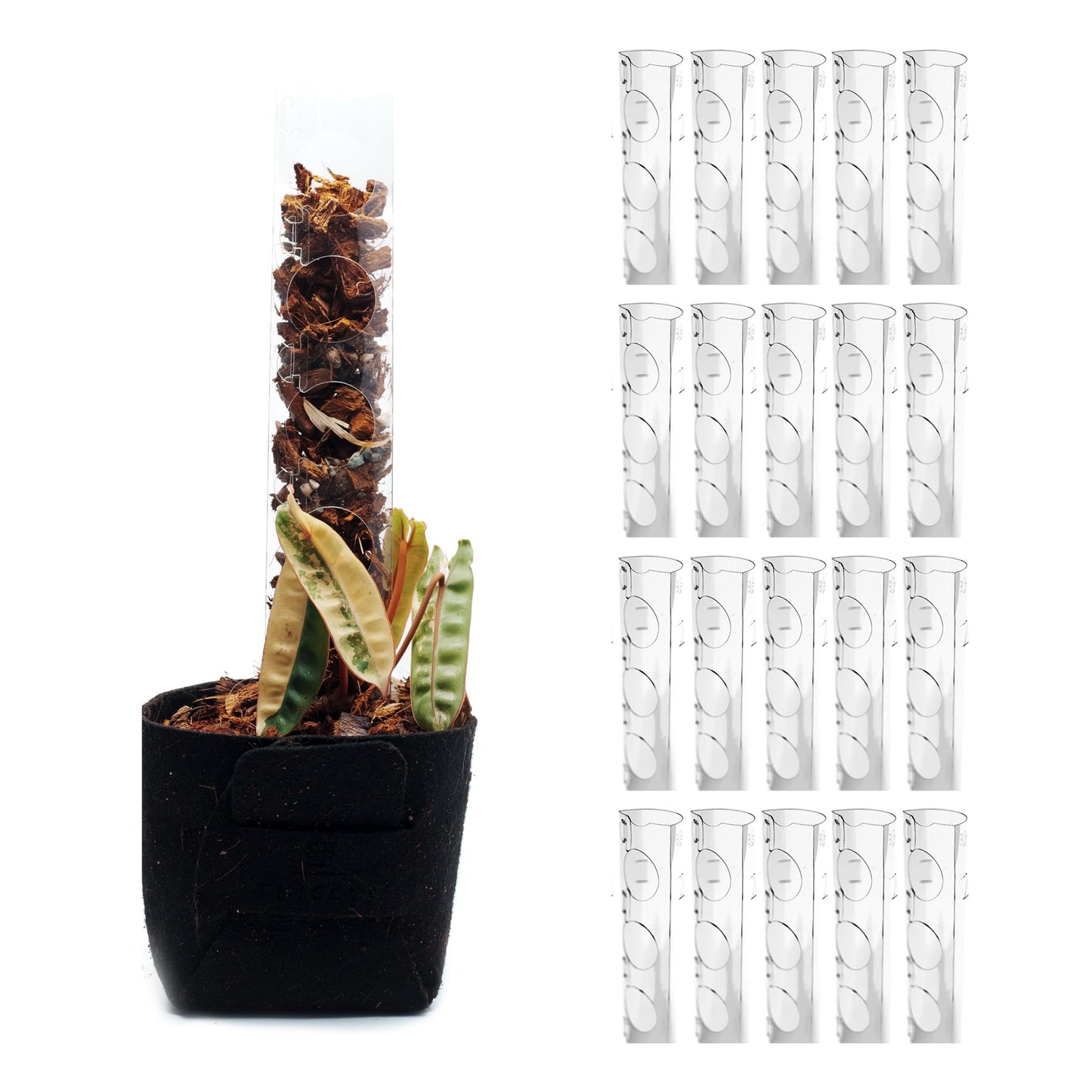 THICCLY V3 GrowPole Small 20 Pcs - Front Opening Plastic Moss Poles for Climbing Plants, D-Shaped Moss Pole for Monstera Plant Support Plant Climbing Pole, Plastic Plant Pole Support for Philodendron