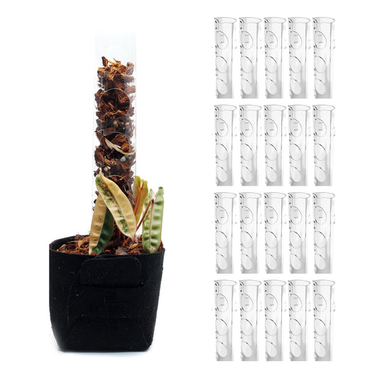 THICCLY V3 GrowPole Small 20 Pcs - Front Opening Plastic Moss Poles for Climbing Plants, D-Shaped Moss Pole for Monstera Plant Support Plant Climbing Pole, Plastic Plant Pole Support for Philodendron