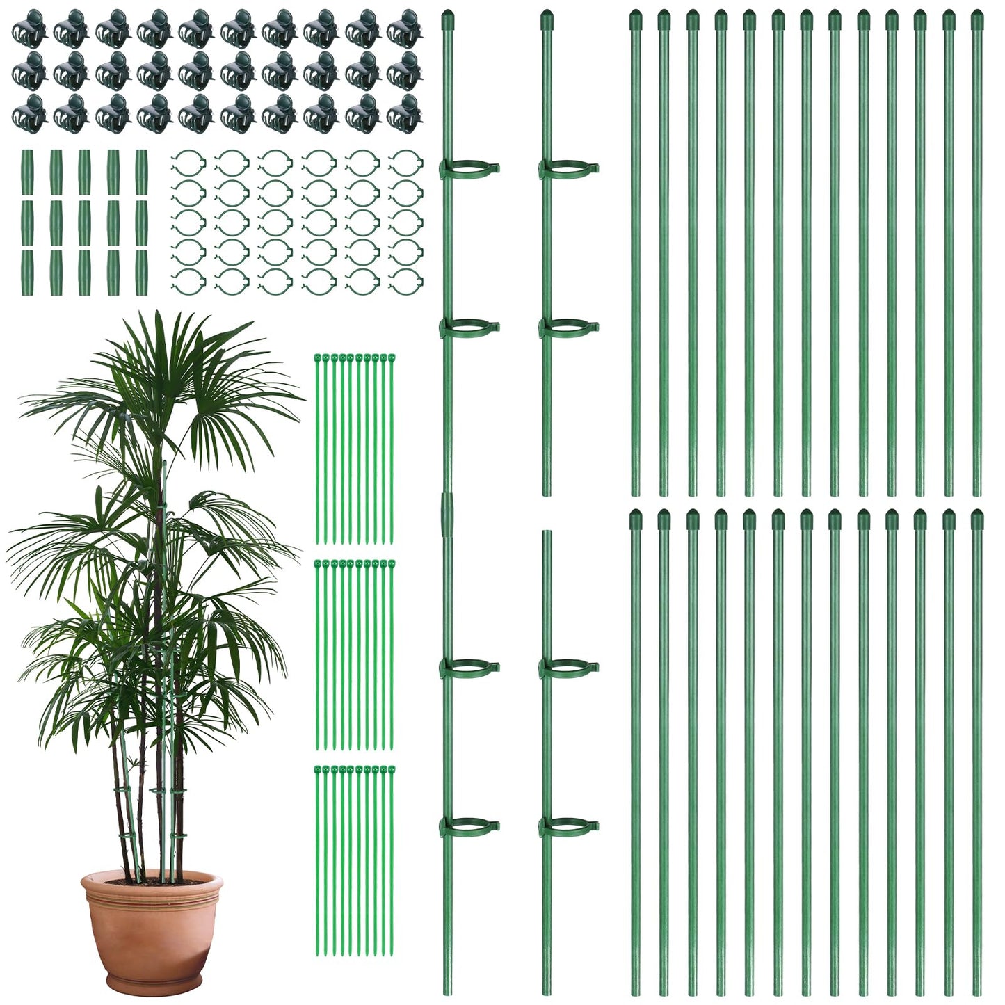 Hoemwarm 30 Pcs Adjustable Plant Sticks, 12 in Plant Support Sticks Plant Support Stakes with Orchid Clips Garden Ties Plant Support Cage for Potted Plants Indoor Orchid Flower Tomato, Green