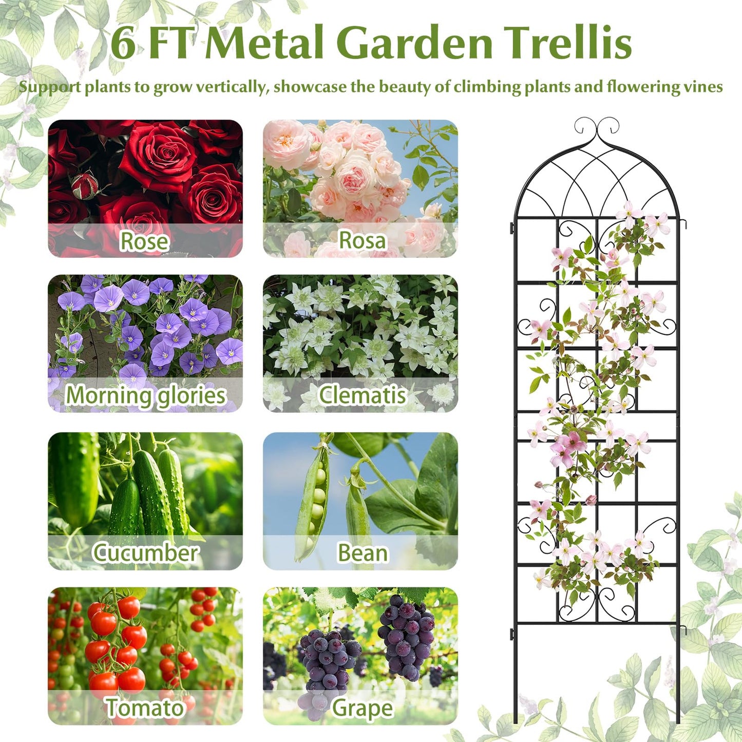 Giantex 4 Packs 71"x20" Metal Garden Trellis for Outdoor Climbing Plants, Heavy-Duty Plant Support for Vine Rose Vegetable Flower, Rustproof Black Metal Coating Patio Trellis Arch Decorative Fence