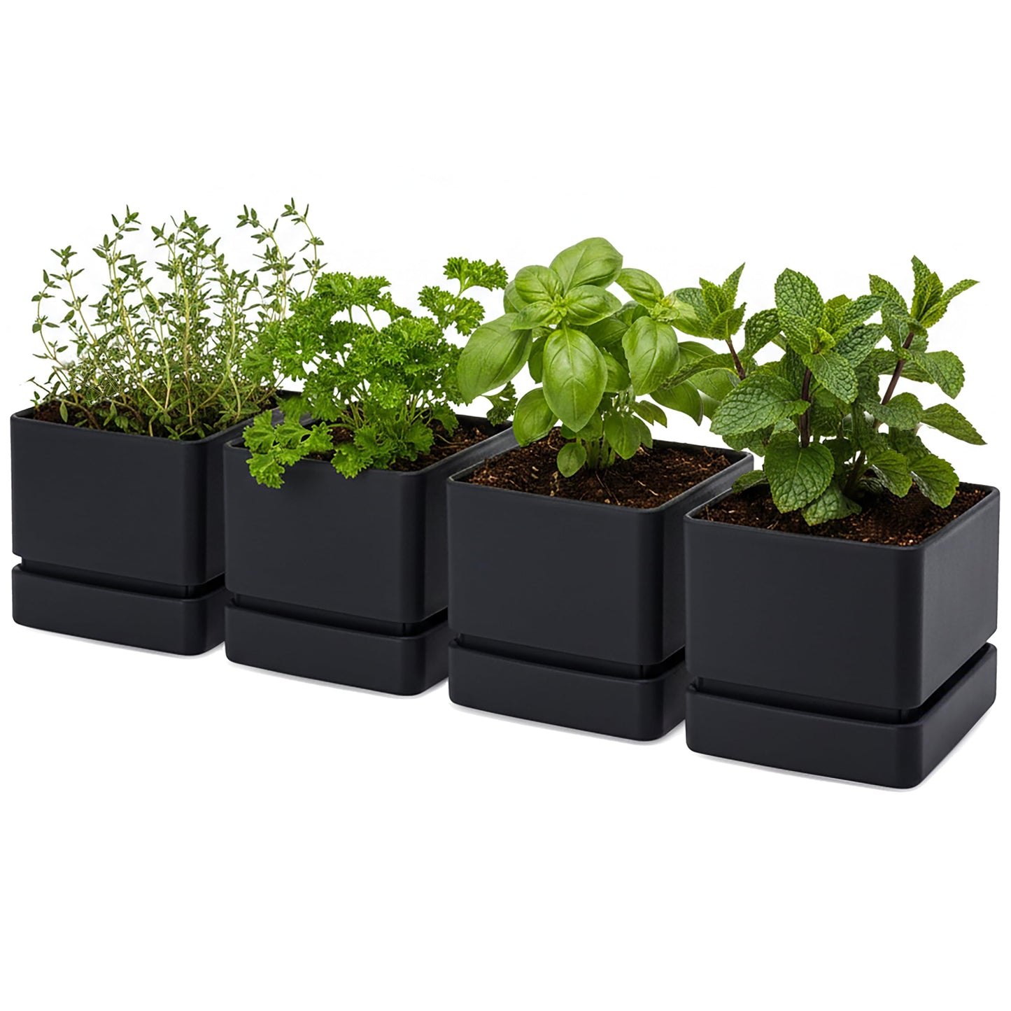 D'vine Dev 6 Inch Herb Planter Pot, Plastic Planter with Drainage Holes and Saucer, Modern Decorative Gardening Pot for Indoor Plants, Flowers, Herbs, Succulents, Black, Set of 4, 76-Y-B4-2