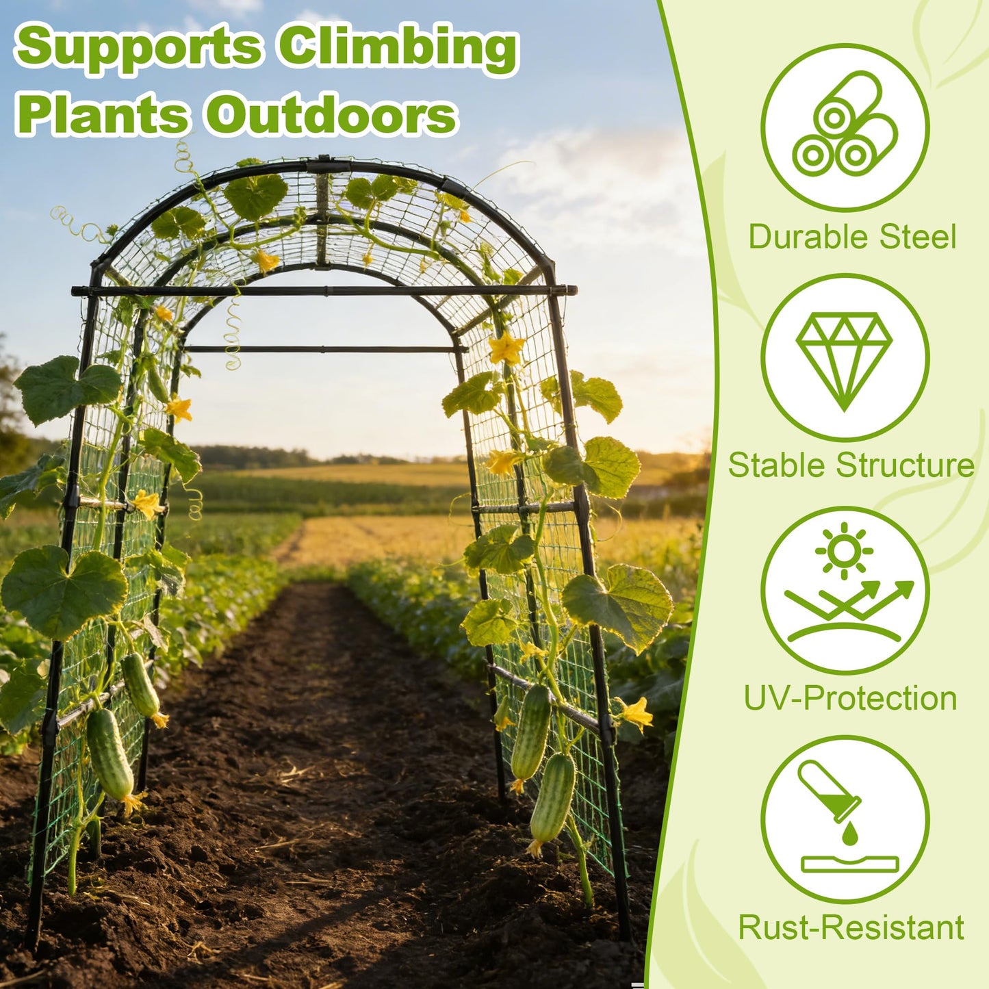 Miory Garden Arch Trellis for Climbing Plants Outdoor, Cucumber Trellis for Raised Bed, Steel with UV-Resistant PE Coated Plants Support Trellis (71 x 83 Inch)