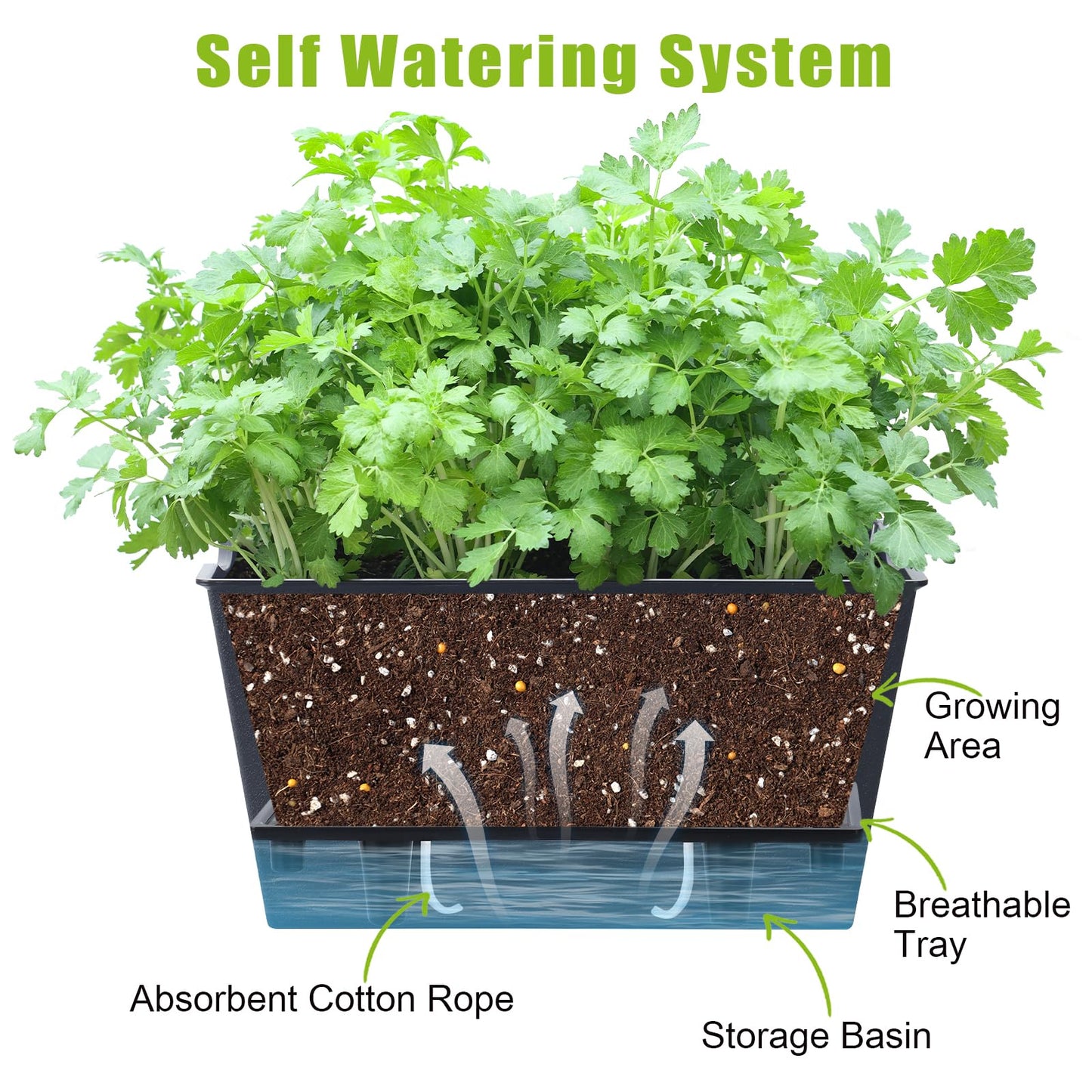 Window Box Planter 6 Pcs, 12.1 Inches Self Watering Plant Pots Rectangle Flower Pots with Drainage Holes and Breathable Trays, Vegetable Planters for Windowsill Patio Garden Balcony Porch Yard (Black)