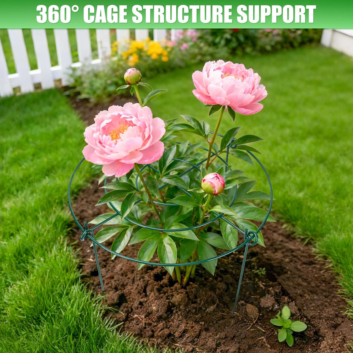 Peony Cages and Supports 8 Pack, 16.5 x 20 Inch Heavy Duty Plant Support Cage Set for Peonies, Roses & Tomatoes – Garden Stakes & Plant Cages for Outdoor Plants (8 Pack, 16.5 x 20 Inch)