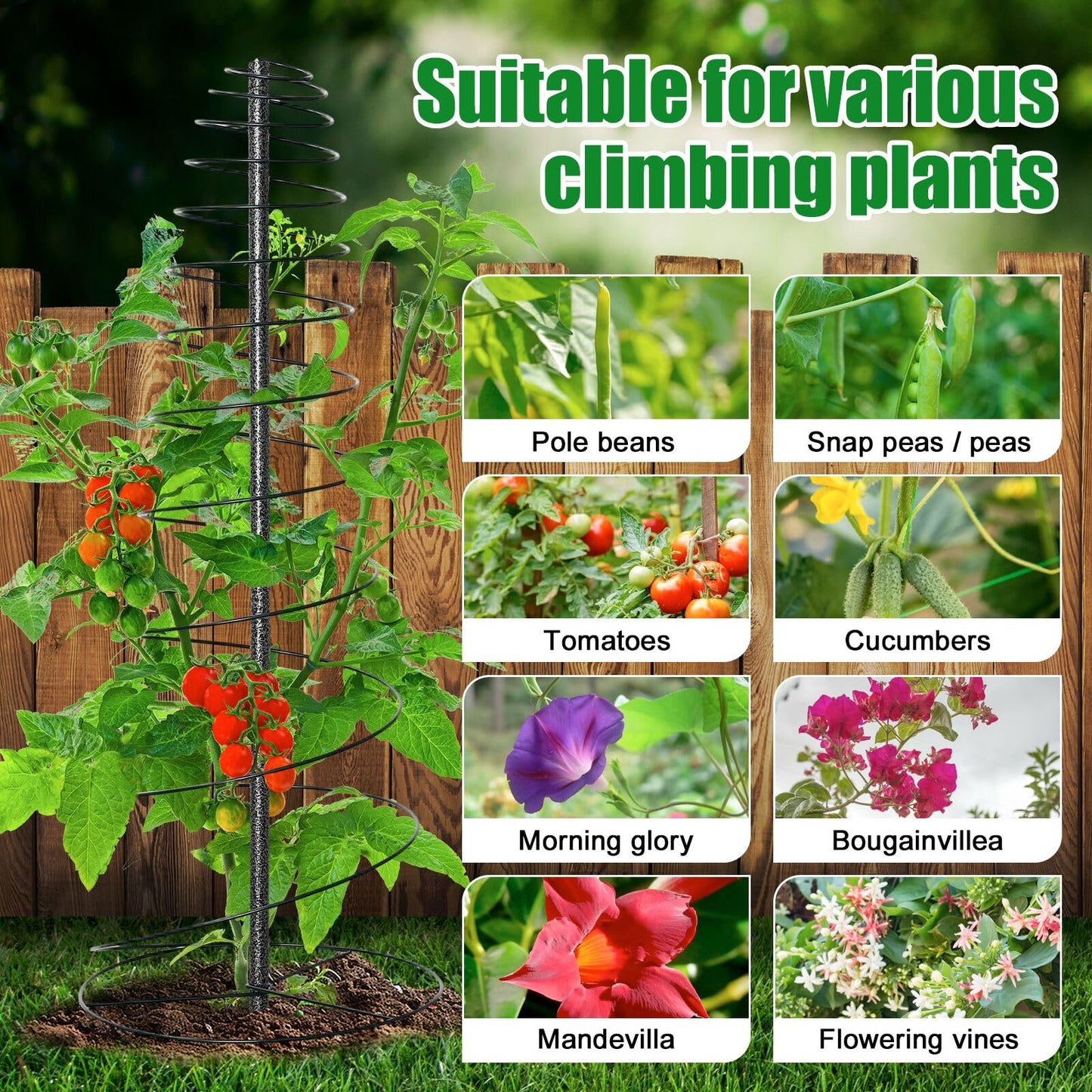 Spiral Frame Garden Trellis for Climbing Plants Outdoor - 12-72" Adjustable Heavy Duty Metal Support for Pole Beans,Snap Peas,Tomatoes,Cucumbers,Anti-Tip Plant Tower for Raised Beds, Backyard