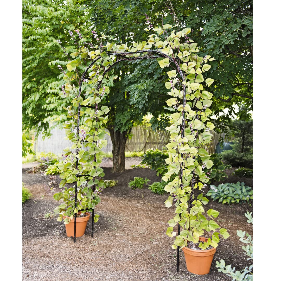 Gardener's Supply Company Titan Arch Arbor Garden Trellis | Sturdy Tall Garden Arch Plant Support for Climbing Plants, Vines and Flowers | Elegant Wedding Entryway & Outdoor Lawn Tower | 96”H x 59”W