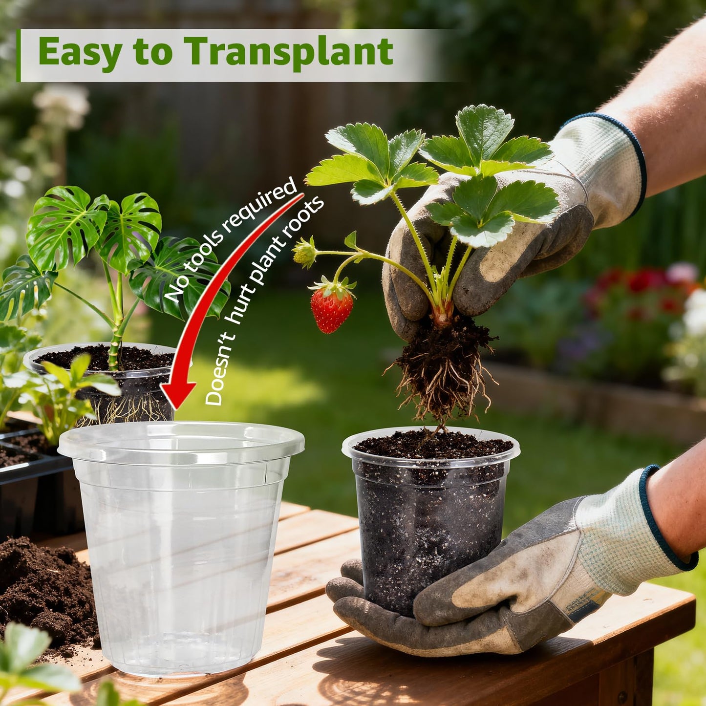 MIXC Clear Nursery Pots with Drainage Holes, 30 Pack 5/4/3.5 Inch Reinforced Transparent Plastic Seed Starter Pots, for Indoor Outdoor Gardening Seedling Planter