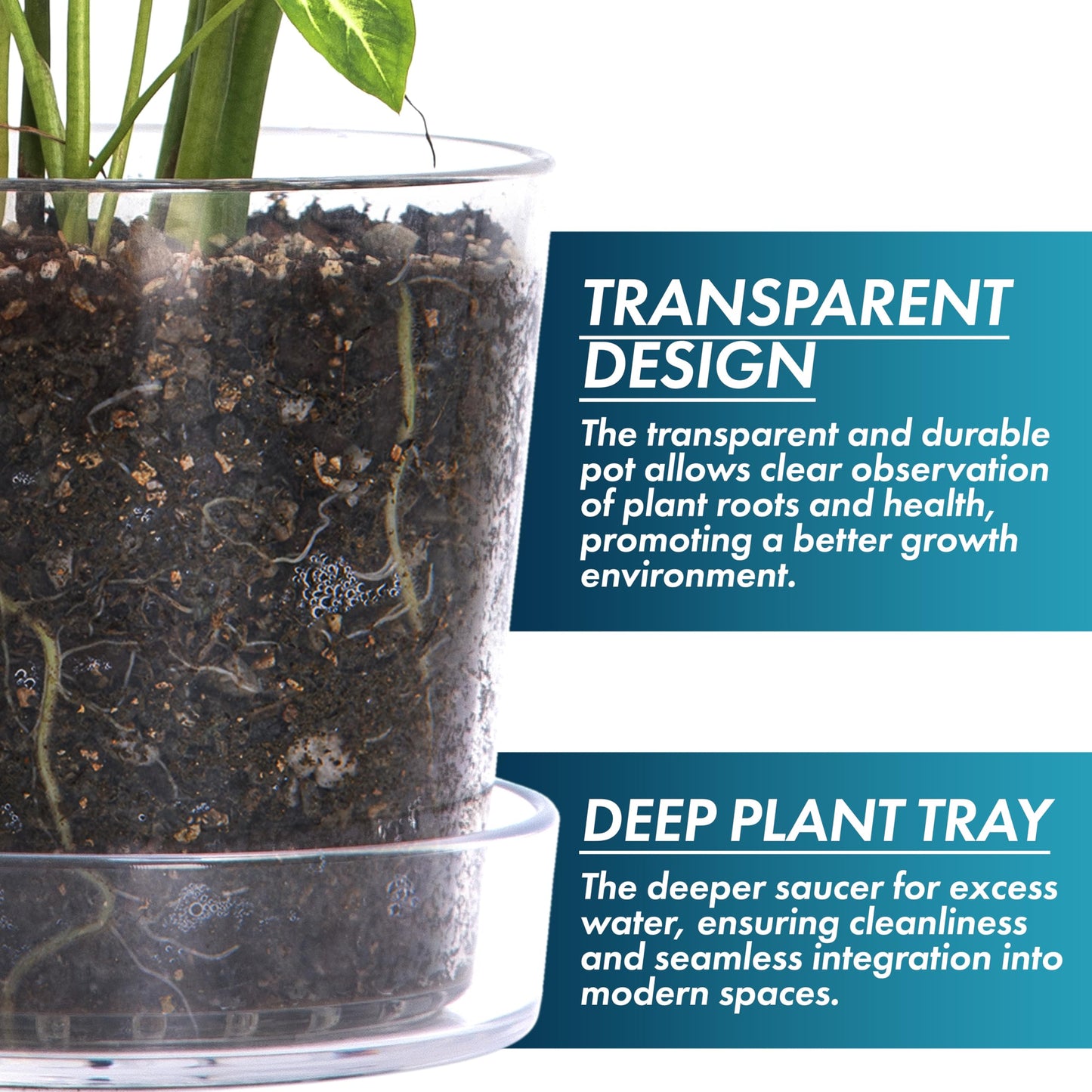 Phoenix Vine 8 Inch Clear Acrylic Planter Pot with Tray, Orchid Pot with Drainage Holes, Deep Saucer for Bottom Watering, Transparent Containers for Indoor Plants, Herbs, Set of 1, 91-A-G-1