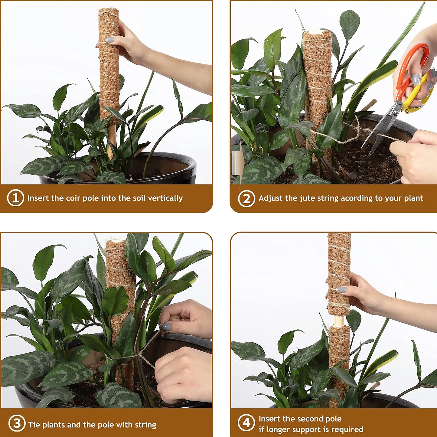 DACHUI 17 Inches Moss Poles for Climbing Plants, 2 Pcs Coco Coir Totem Pole-Support Indoor Plants to Grow Upwards