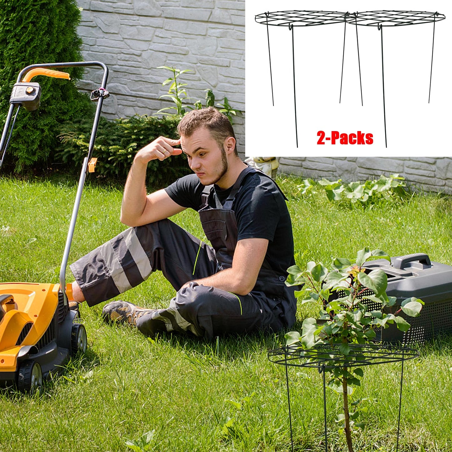 2 Pack Round Peony Cages and Supports Grow Through Grid Plant Brace,24 inch Heigh Plant Support Stake for Small Plant Flower Vegetable (2pcs 24“)