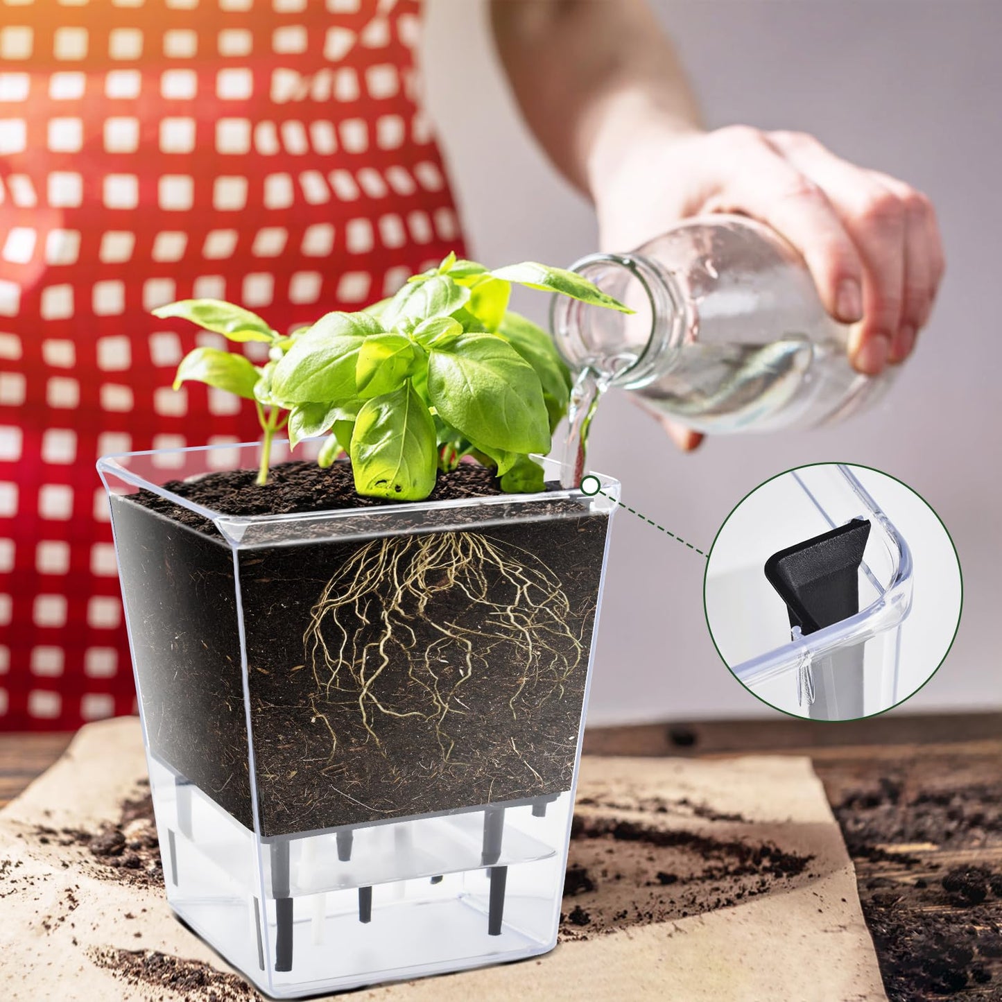 IWNTWY Self Watering Pots Set, 3 Pack 2.7 Inch Pots for Indoor Plants, Clear Nursery Planter with Deep Reservoir for Succulents, Seedlings, Small Plants