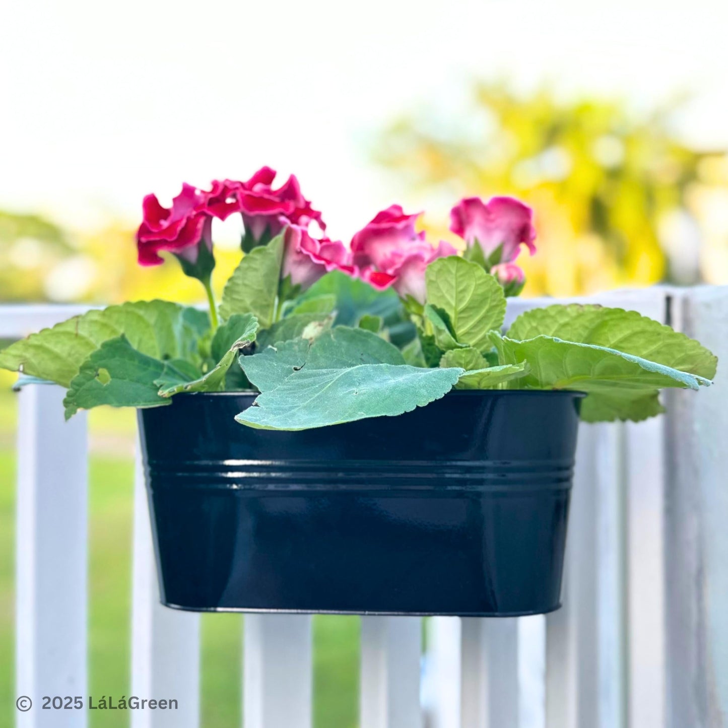 LaLaGreen Outdoor Plants Rail Planter (16 Inch, 6 Pack) Black Metal Iron Hanging Flower Pots Deck Railings Fence Buckets Modern Boho Style Wall Mount Window Boxes Plant Holder Hooks Porch Home Decor