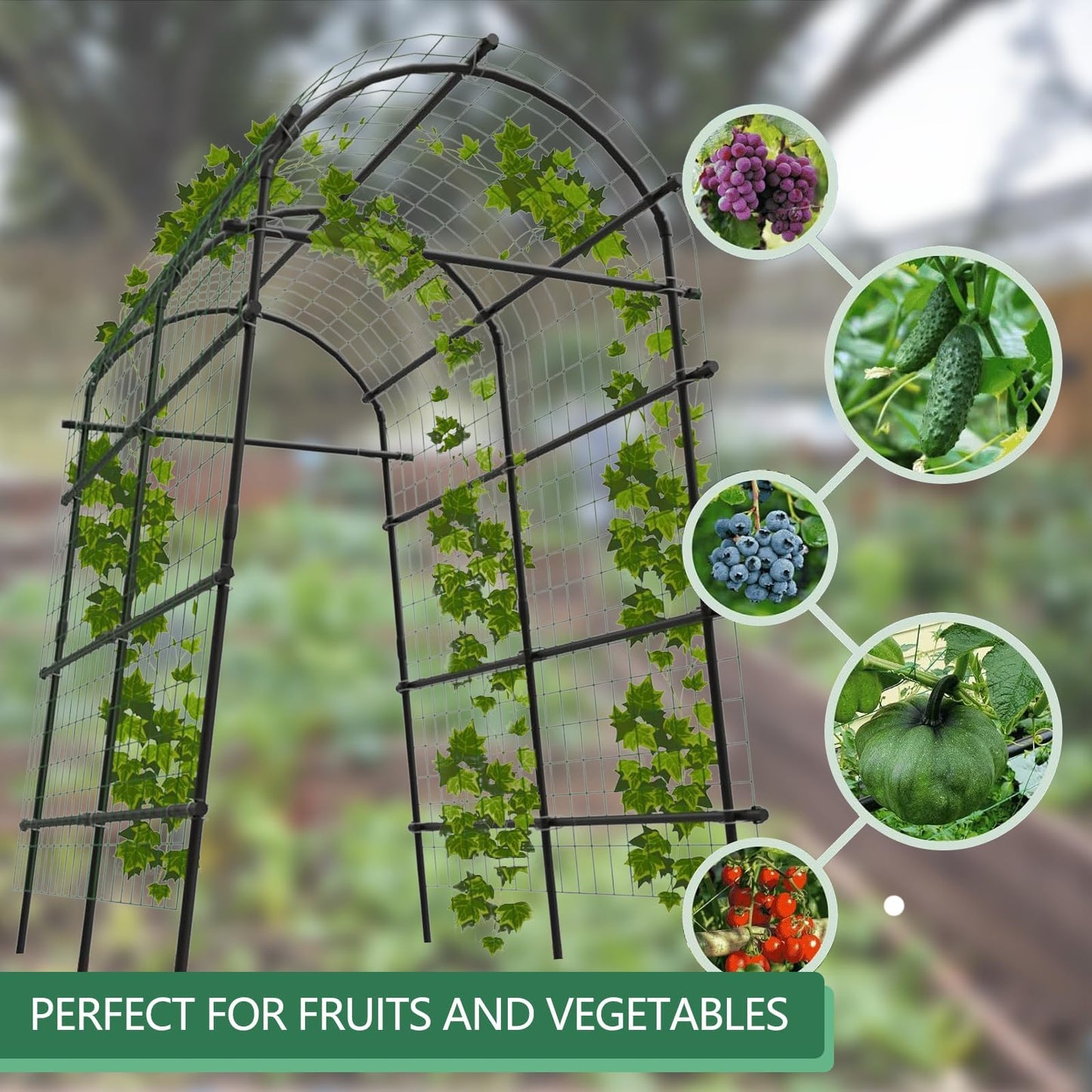7.3 ft Metal Garden Arch Trellis, Plant Support for Raised Beds, PE and Iron Trellis for Cucumbers and Climbing Vegetables