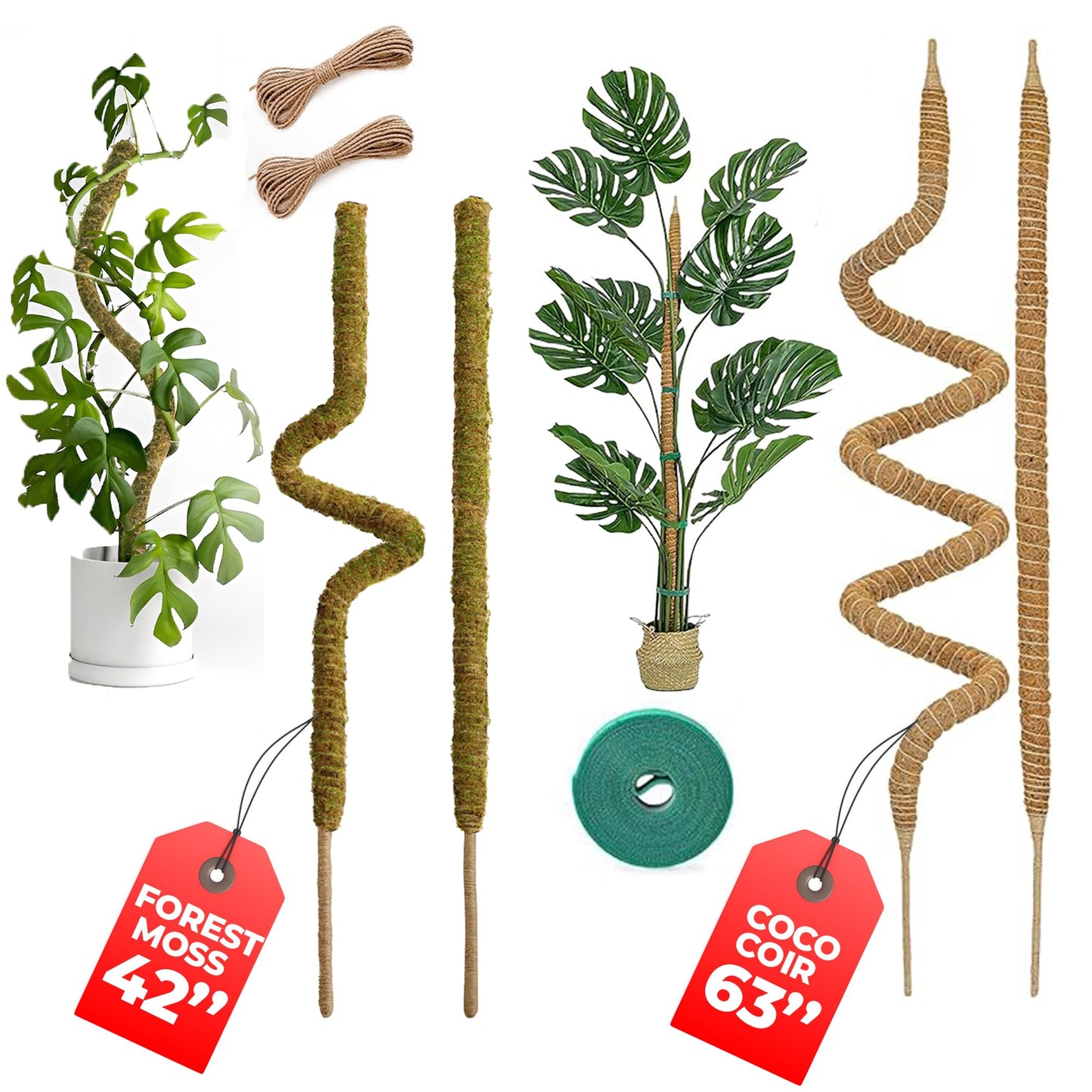 K-Brands 4 Pack Forest Moss Coco Coir Bundle - 2 x 42'' + 2 x 63'' Monstera Plant Support - Moss Poles for Climbing Plants Monstera - Plant Pole Plant Sticks Support