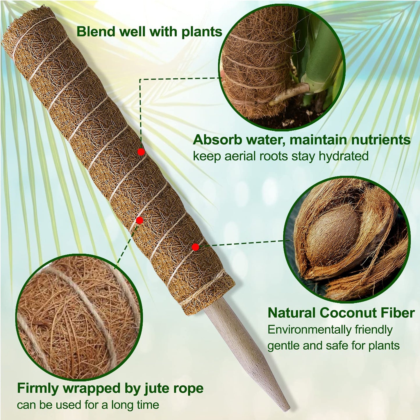 Fabulas Moss Pole 36 Inch - Monstera Plant Support, 2 Pack 20.5 Inch Plant Stakes for Indoor Plants Coco Coir Moss Pole Sticks for Climbing Potted Live Plants, Pothos, Philodendron, with Garden Ties