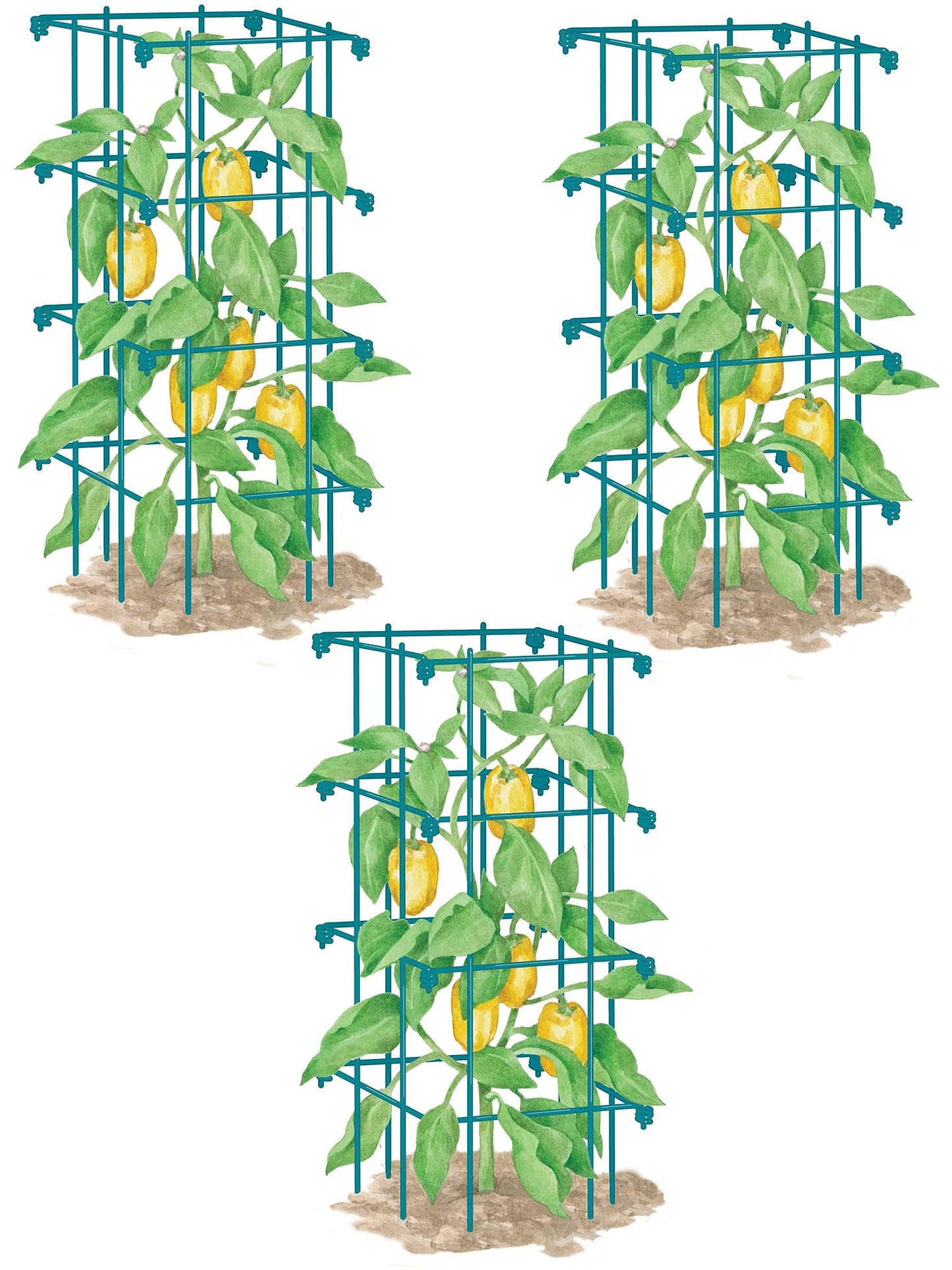 Gardeners Supply Company Pepper and Eggplant Cages Plant Stand | Heavy Gauge Sturdy Garden Plants Support for Eggplants Peppers and Other Climbing Plants | No Assembly Needed | Green 24"H (Set of 3)