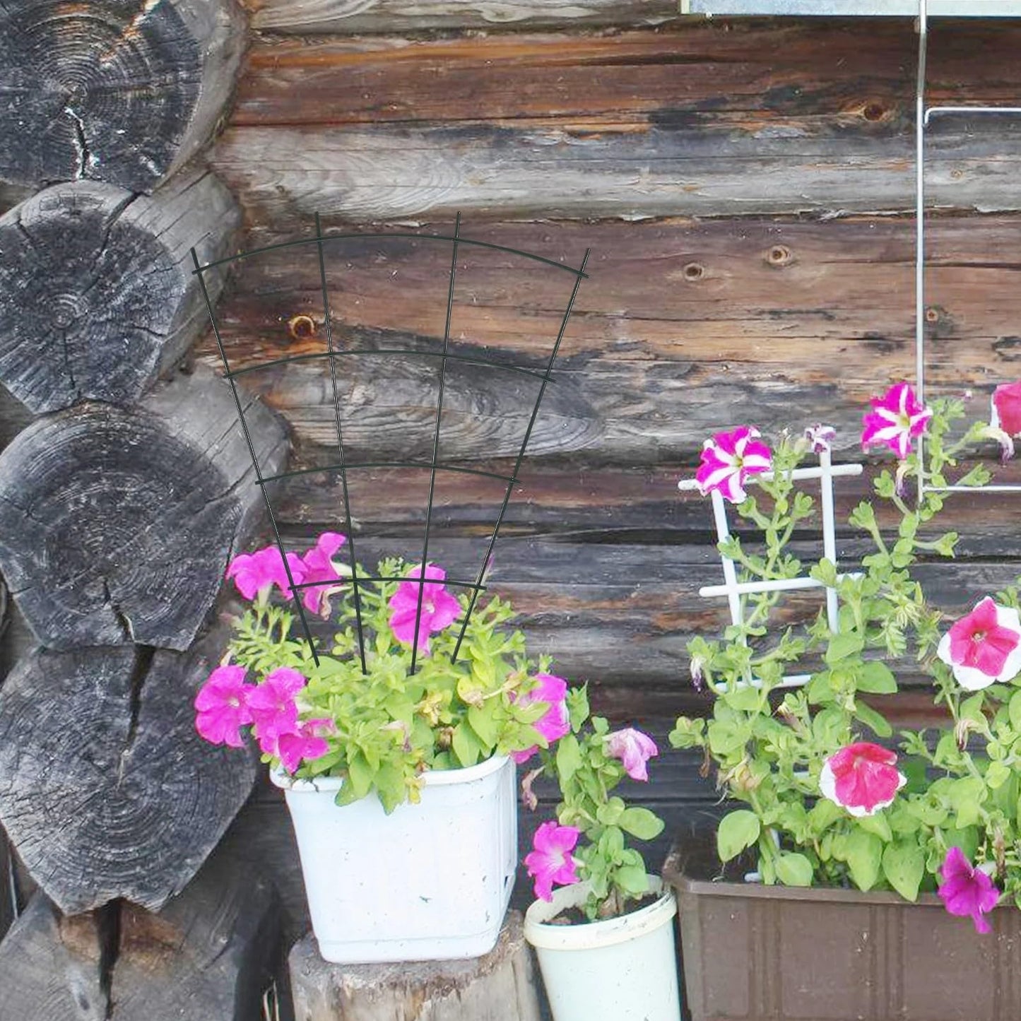 Plant Trellis for Potted Climbing Plants Indoor, Outdoor Metal Garden Trellis for Climbing Plants Houseplants Flowers Vine Ivy, Fan Shape (2)