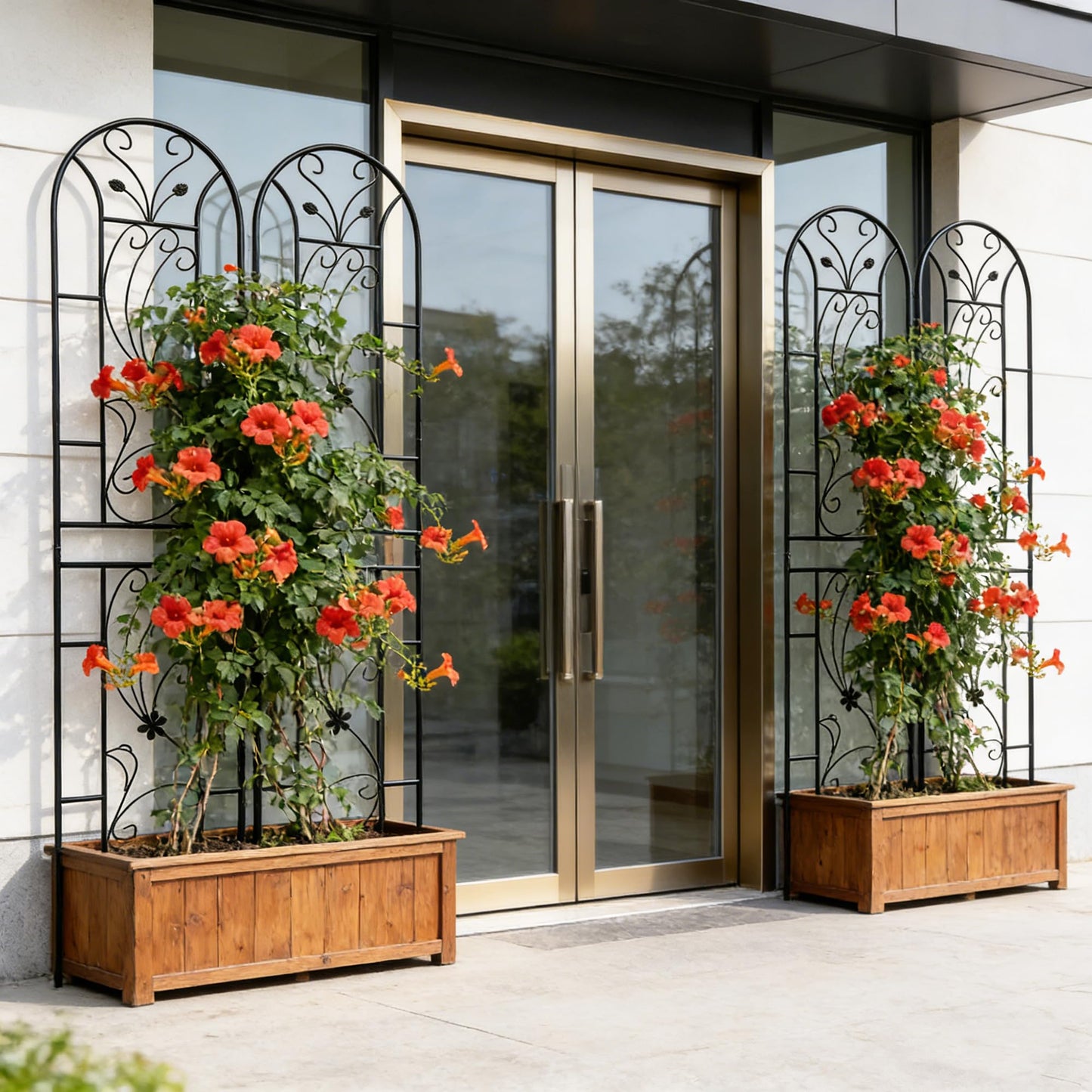 4 Pack Metal Garden Trellis 86.7"x19.7" – Rustproof Trellis for Climbing Plants Outdoor, Peacock Style Flower Support for Roses Ivy Vines, Black