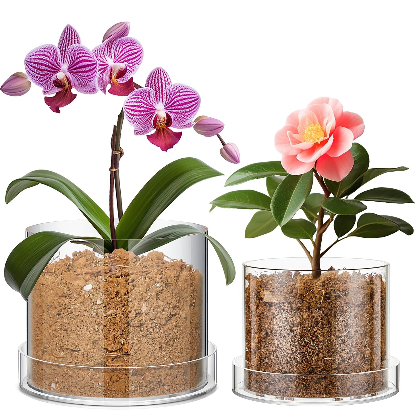 Sunnychicc 2 Pcs 6 Inch 8 Inch Clear Plant Pots Acrylic Nursery Orchid Pots with Drainage Holes and Tray Transparent Planter for Indoor Plants, Succulents, Herb, Flowers, and Cactus Decorative