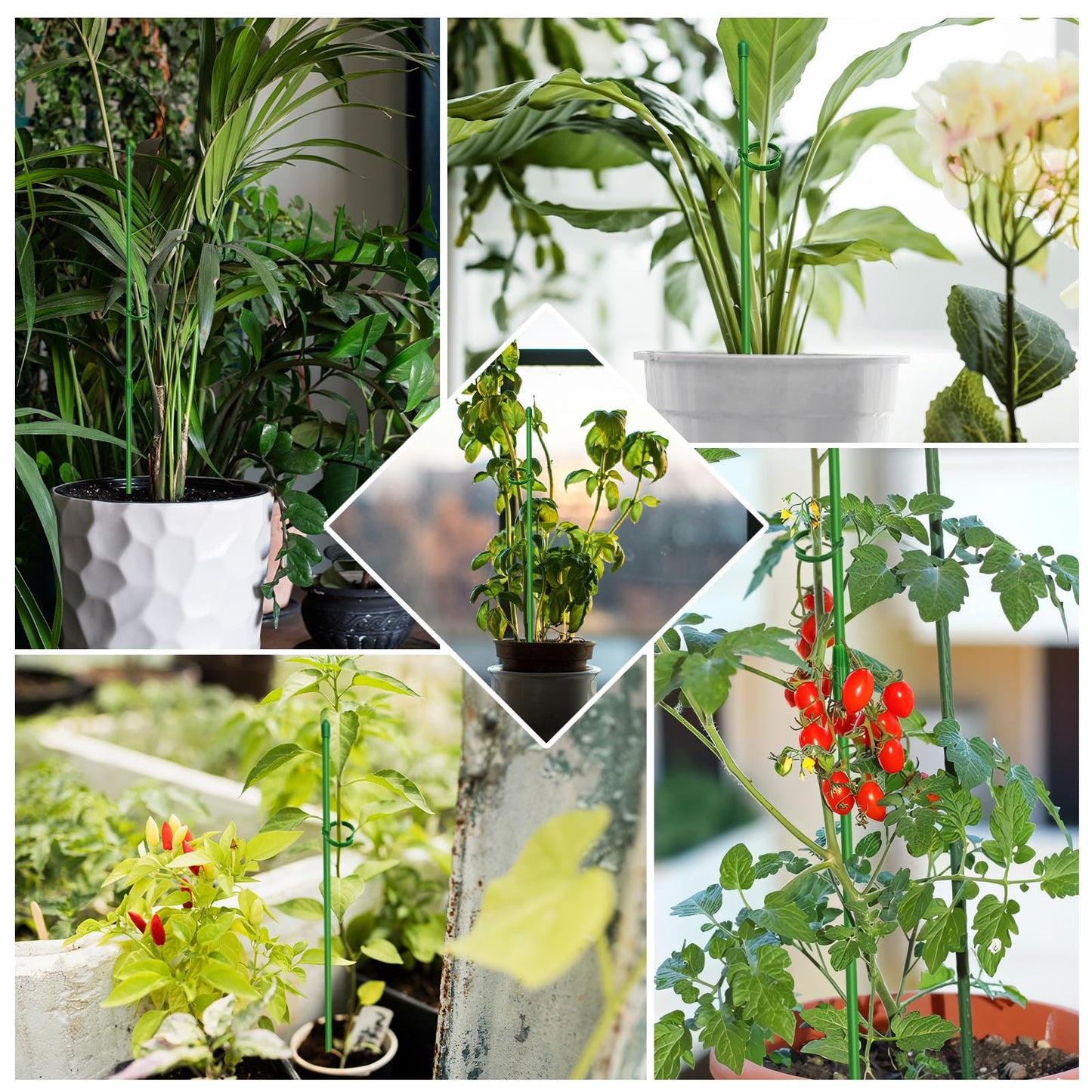 Catephe 20 Pcs Plant Support Stakes, Garden Stakes for Indoor Plants, Tall Adjustable Plant Sticks with 20 Clips and 10 Connectors for Monstera, Tomato, Vine Potted Plants