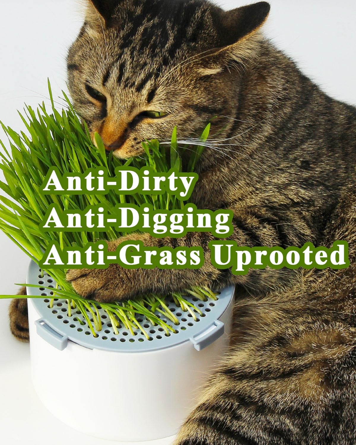 BENPIN 2Pcs Hydroponic Cat Grass Planter (no Seeds Included), Soil Free, Anti Digging, Anti Grass Uprooted, Wheatgrass Growing Kit, Cat Grass for Indoor Cats Pets (2)