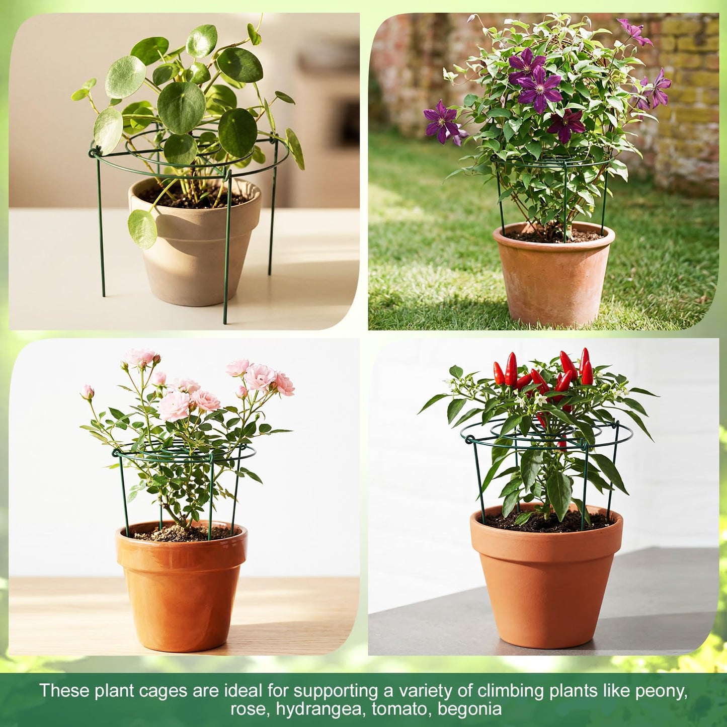 Geelin 6 Pcs Adjustable Peony Cages and Supports, 24 x 12 Inch / 9 x 12 Inch Metal Peony Support Cage, Large Plant Frame Rings for Garden Outdoor Plants Flowers Tomato Vegetables, Height Adjustable