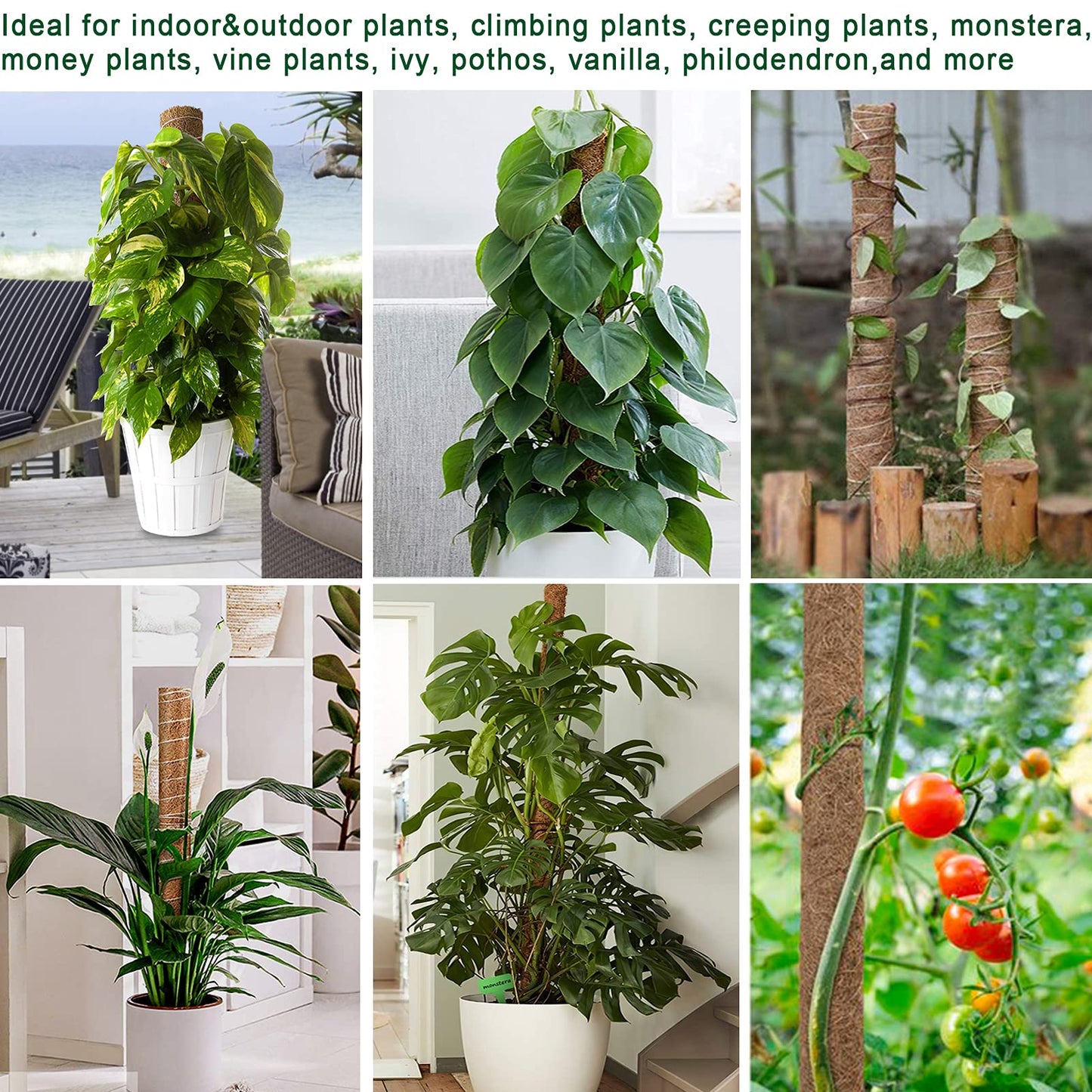 Fabulas Moss Pole 36 Inch - Monstera Plant Support, 2 Pack 20.5 Inch Plant Stakes for Indoor Plants Coco Coir Moss Pole Sticks for Climbing Potted Live Plants, Pothos, Philodendron, with Garden Ties