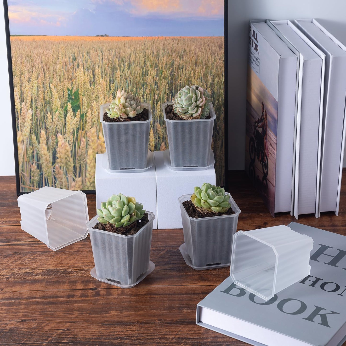 foxany 3 Inch Clear Nursery Pots, 30 Pcs Thick Plastic Plant Pot, Square Flower Planting Pots Variety Pack, Seedling Planter Starter Pots with Saucers for Garden