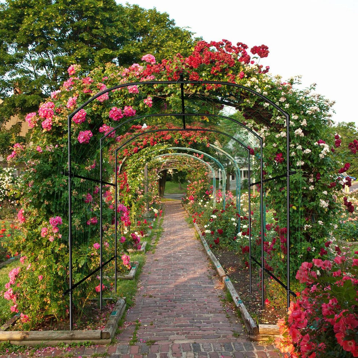 SUNYRISY Garden Arch Trellis for Climbing Plants Outdoor, 87in Tall Plant Support Trellis for Yard Raised Bed Planting Vine Cucumber Flowers Fruit Vegetables