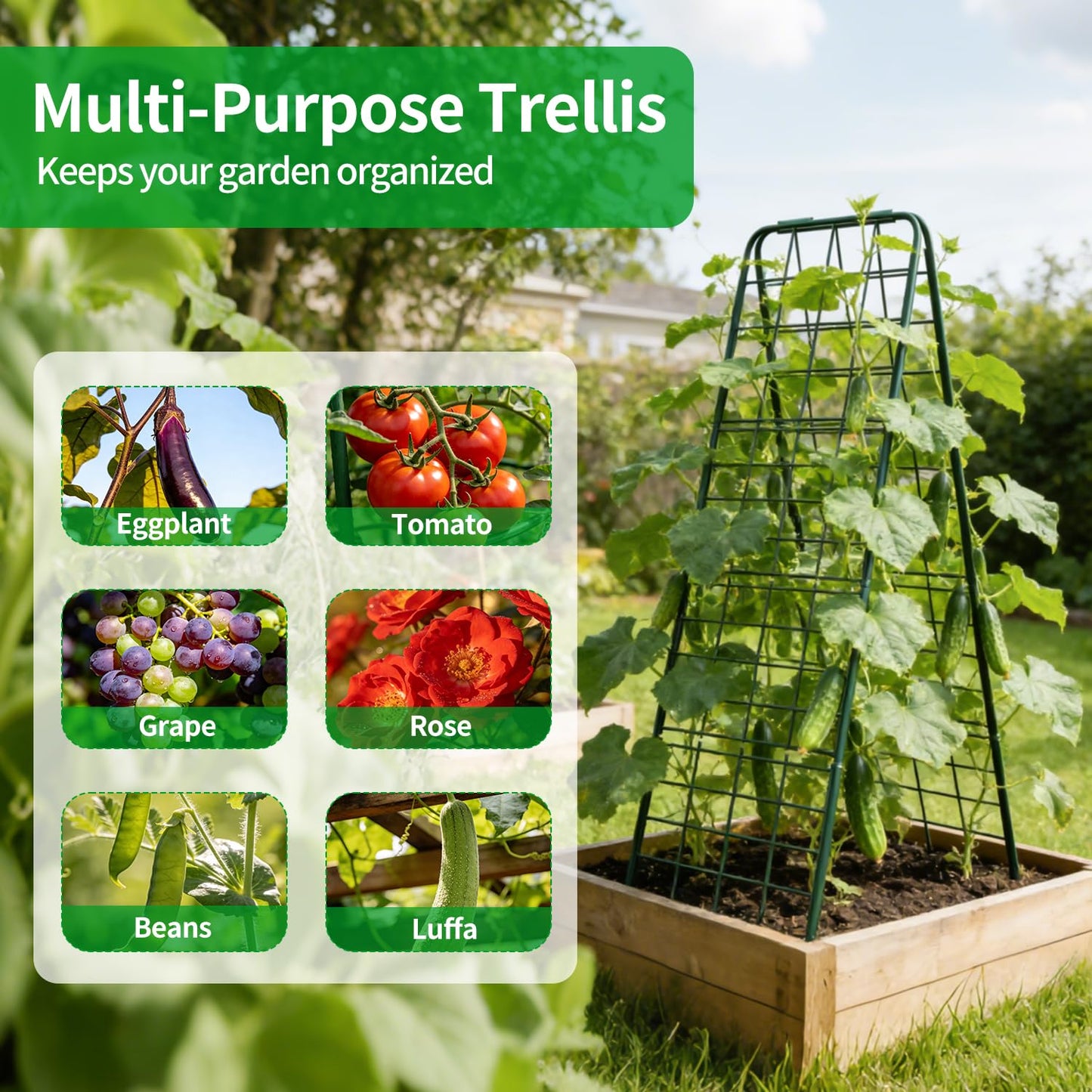 DOLEMODUO Heavy Duty Trellis for Climbing Plants, 50"x17" Adjustable Height Steel Cucumber Trellis, Powder Coated Metal Garden Trellis for Raised Beds,Tomatoes, Cucumbers & Outdoor Vines