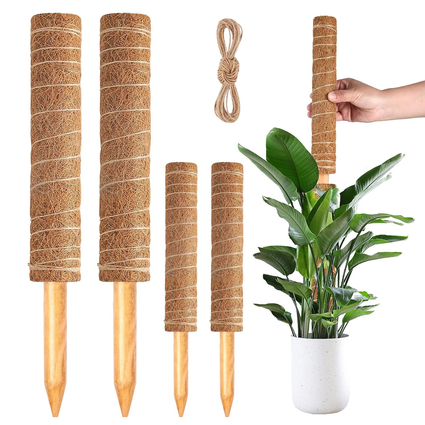 4 Pack 47 Inch Moss Pole, Stackable Moss Poles for Climbing Plants Monstera, Grow Upwards with Jute String Moss Stick. Coir Plant Support Stakes for Potted Plants Indoor.