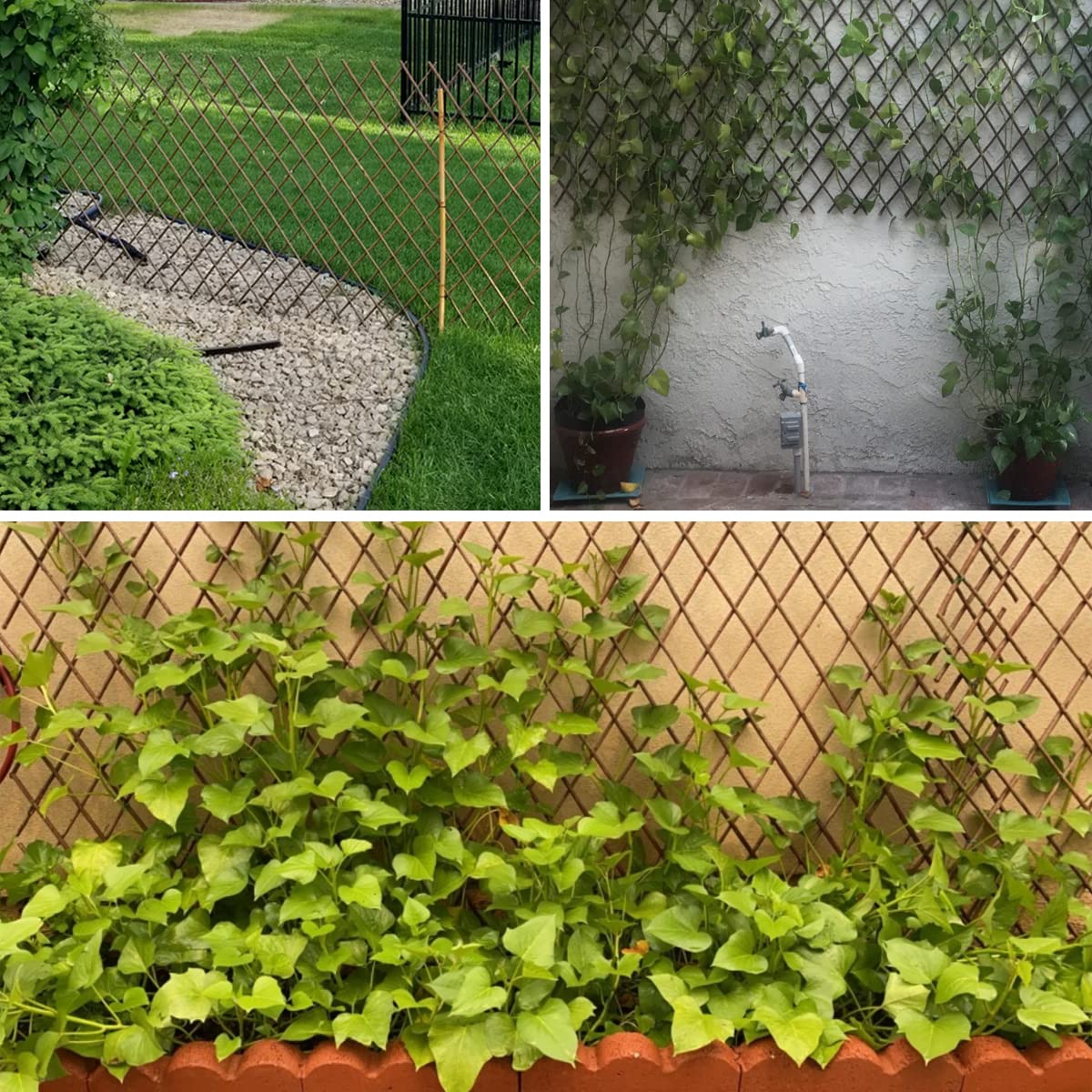 Helprise Expandable Willow Lattice Fence Panel Plant Support Garden Trellis Willow Trellis Fence for Climbing Plants Vine Ivy Rose Cucumbers Clematis Outdoors Garden Yard,36X92 Inch(4PC)