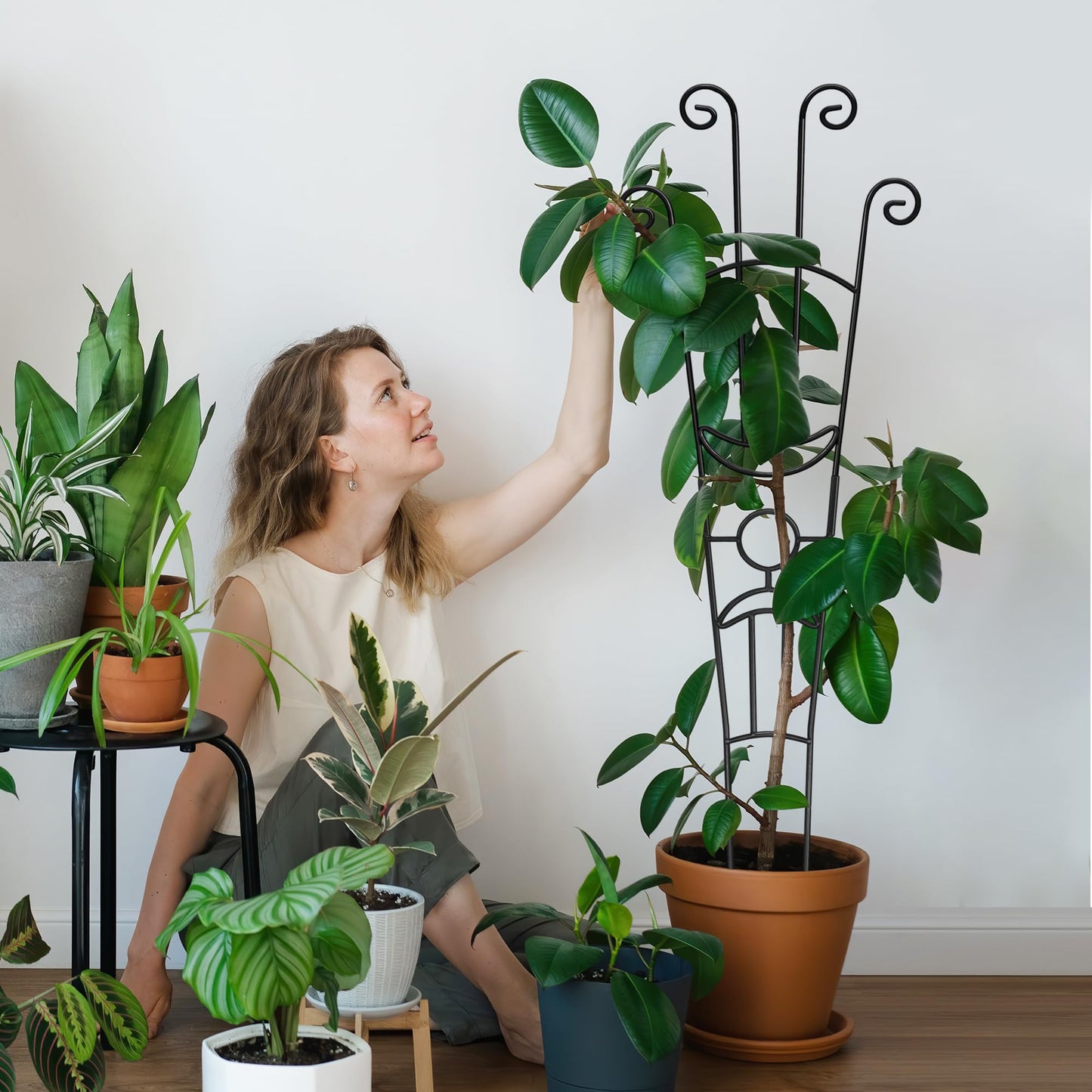 6(Six) Plant Trellis for Climbing Plants Indoor, 2(Two) Expandable Large Metal Trellis for Potted Plants and 4(Four) Trellis for Potted Plants