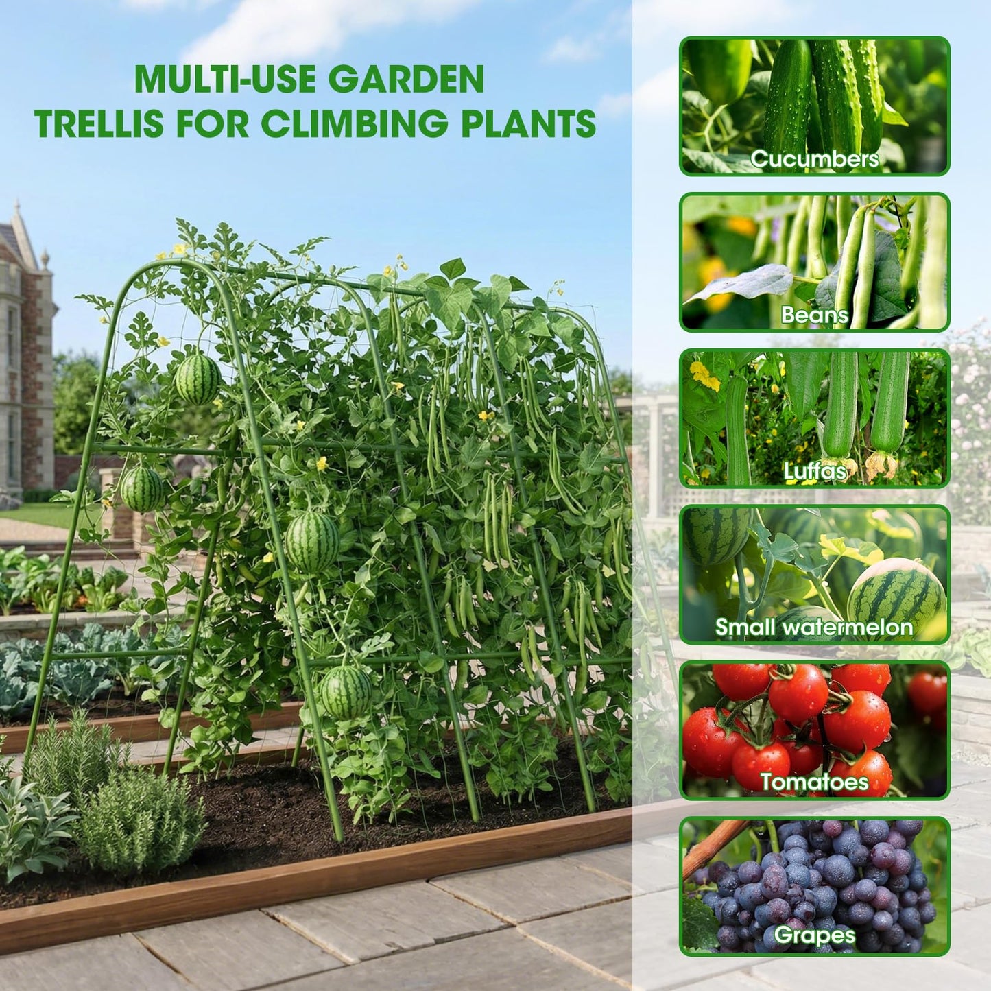 SHCCPPJ Cucumber Trellis for Raised Bed, U-Shape Metal Garden Trellis for Climbing Plants Outdoor, 51.5''Lx50.5''Wx44''H Rust-Proof Vegetable Peas Trellis for Bean Pole