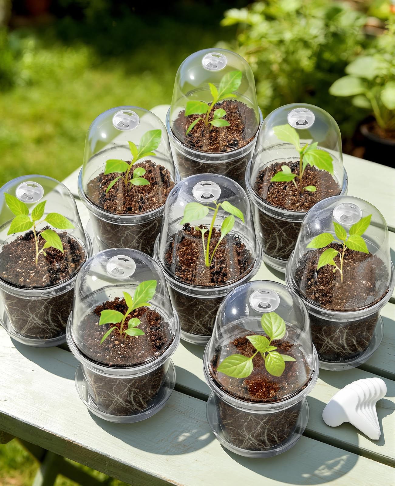 homenote 3/4/5 Inch Clear Nursery Pots 18 Pack with Humidity Domes&Plant Saucers–Rigid Plastic Nursery Pots with Drainage,Transparent Flower Pots for Seedlings,360° Rotary Vent,Indoor Outdoor Garden