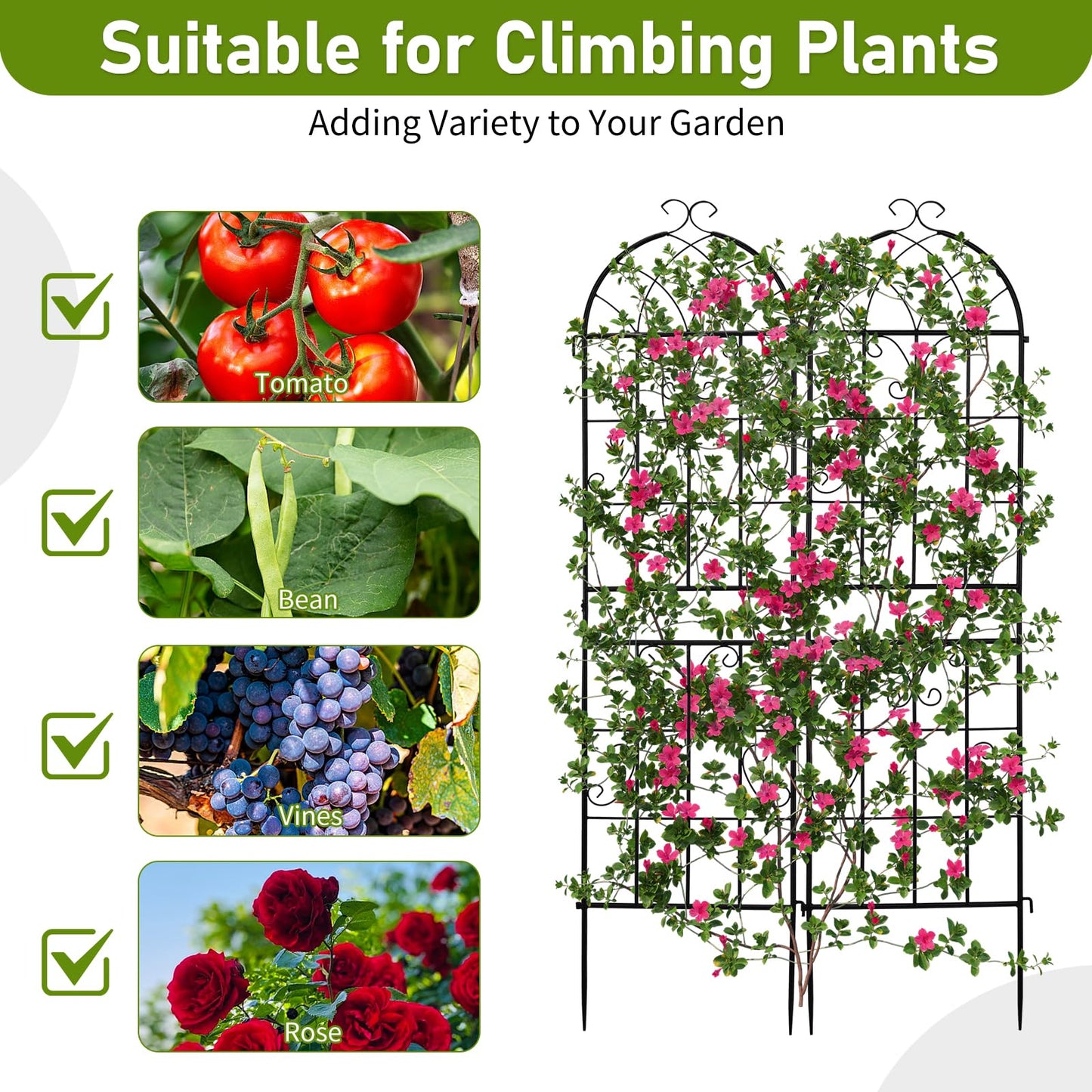 Outvita Garden Trellis for Climbing Plants, 2 Pack 5 Ft Large Decorative Outdoor Cucumber Trellis, Rust Proof Metal Vegetables Flowers Support for Tomatoes, Vines, Roses(Grid Pattern)