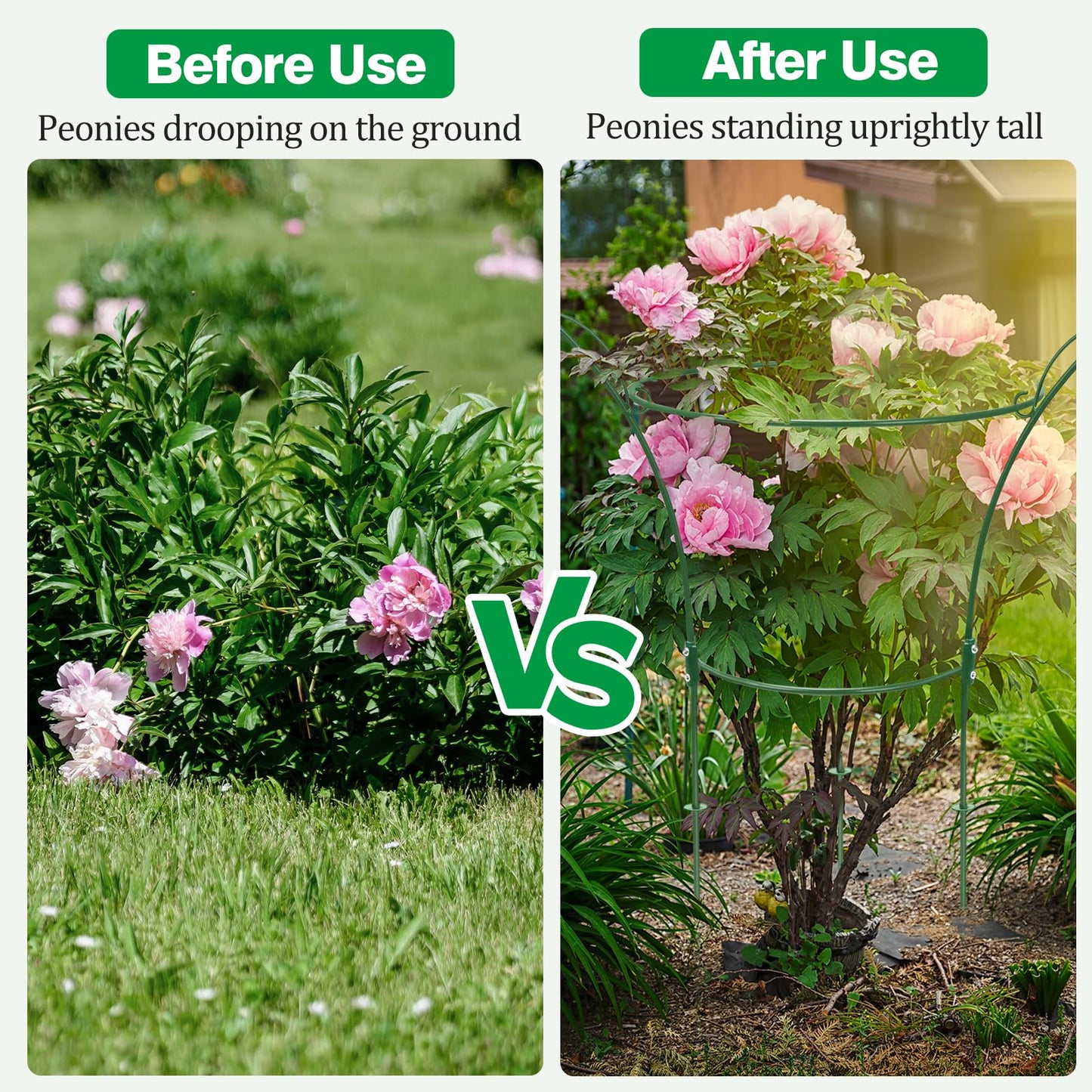 HEYTIMI 4 Pack Peony Cages and Supports Cages 13" D x 22.8" H Sturdy Metal Support Frame for Peonies & Roses Natural Bouquet Shape Garden Stakes for Outdoor Plants Flowers Ornamental (Green)