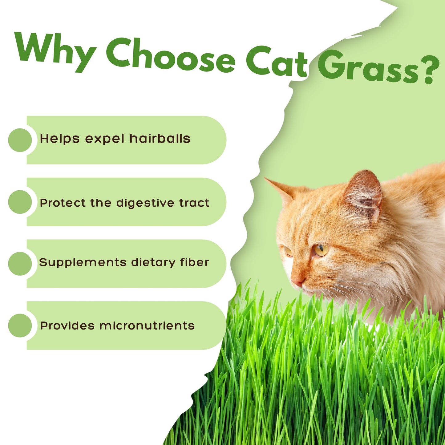 Environet Cat Grass Kit for Indoor Cat, Organic Grass Growing Kit with Seeds, Soil and Planting Tools, Quick Germination, Perfect for Beginners, 3-Pack Plastic Pots