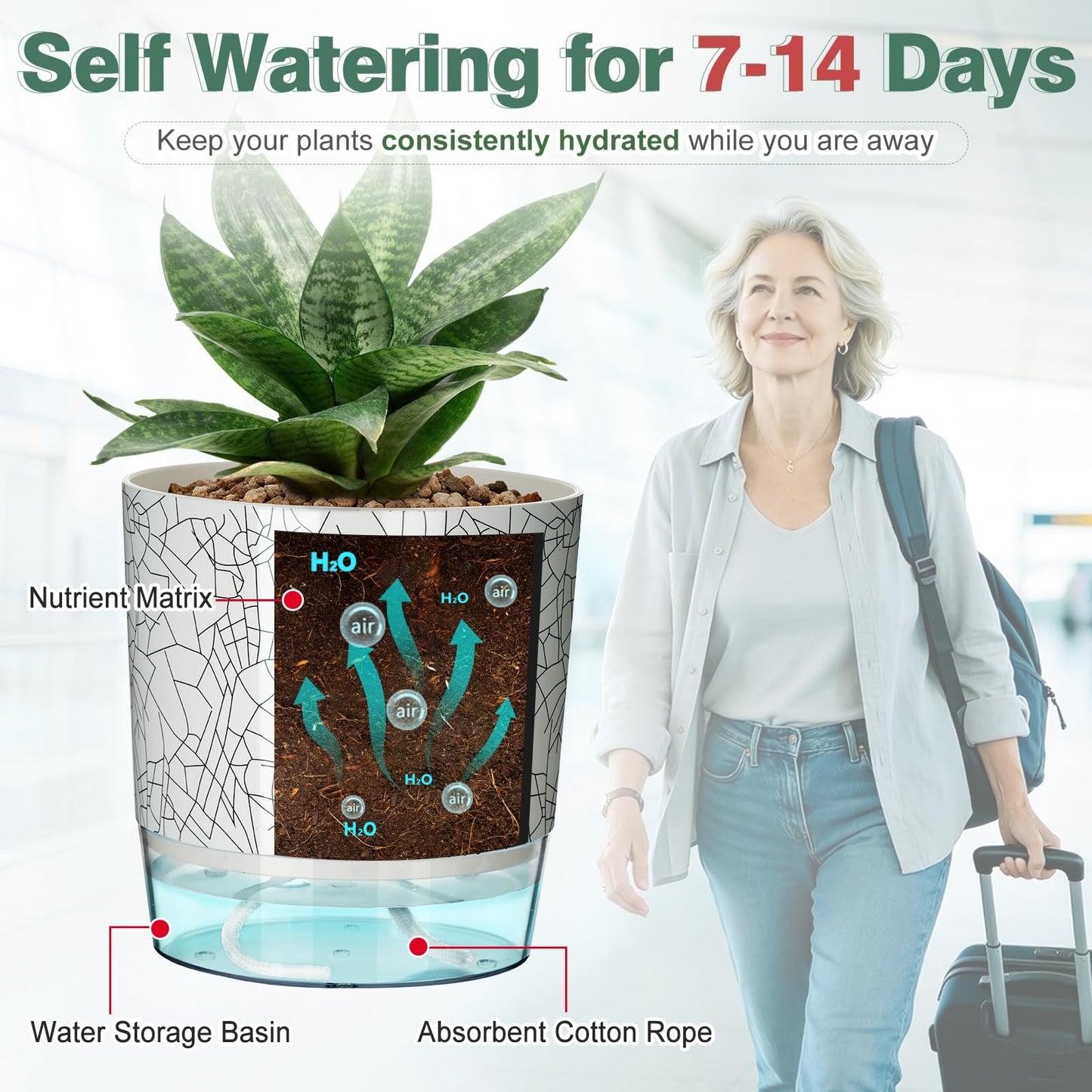 Samhe 6 Pack Self Watering Pots for Indoor Plants, 4+5.5+6.3 Inch Self Watering Plant Pots Set, Flower Pots with Wick Rope and Reservoir for African Violet, Spider Plant, Orchid - Crack Texture