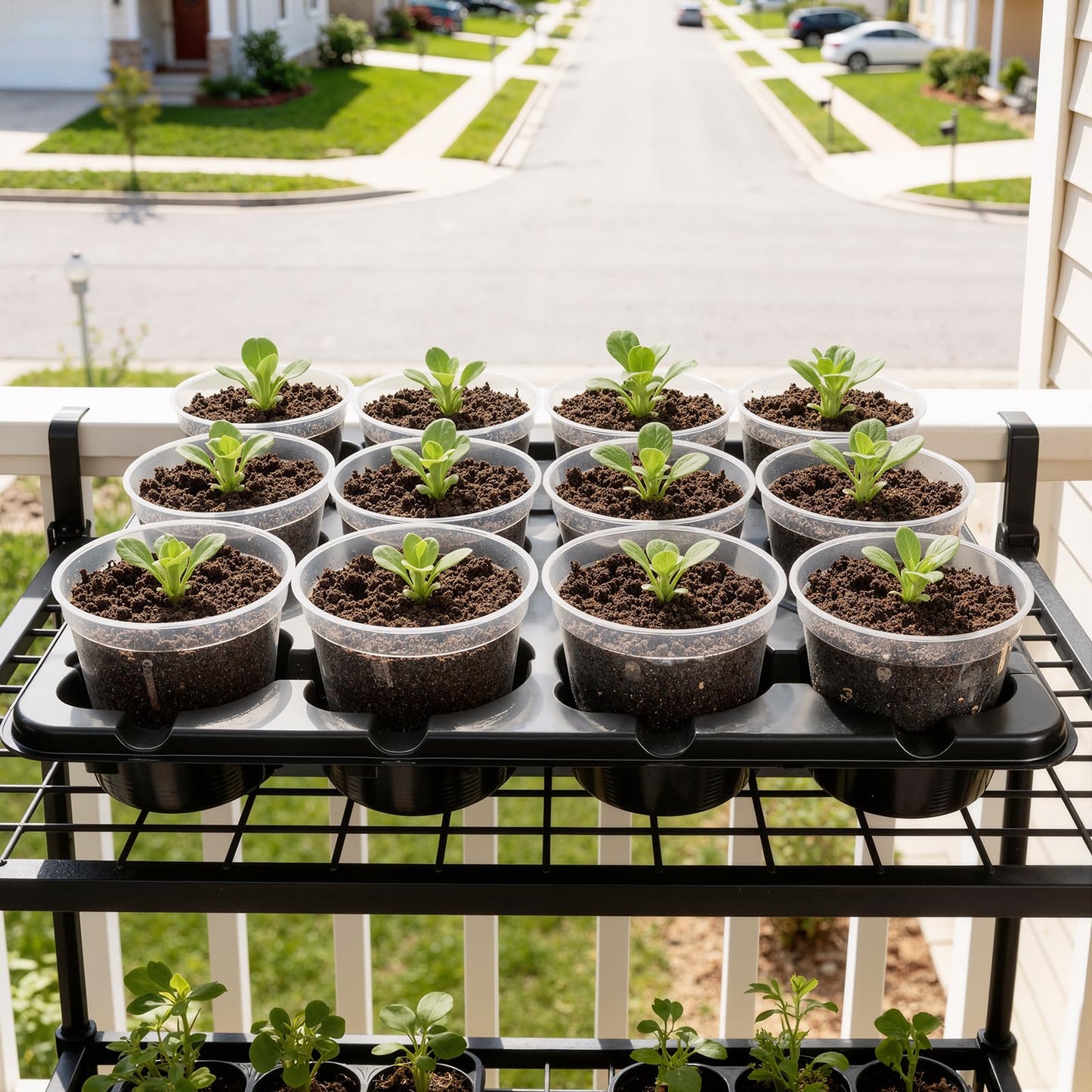 homenote 4 Inch Seed Starting Trays 10 Pack, 12-Cell Seedling Starter Trays for Indoor Outdoor Growing, Plant Starter Germination Trays for Pots Seedlings 4" Opening Compatible Pots
