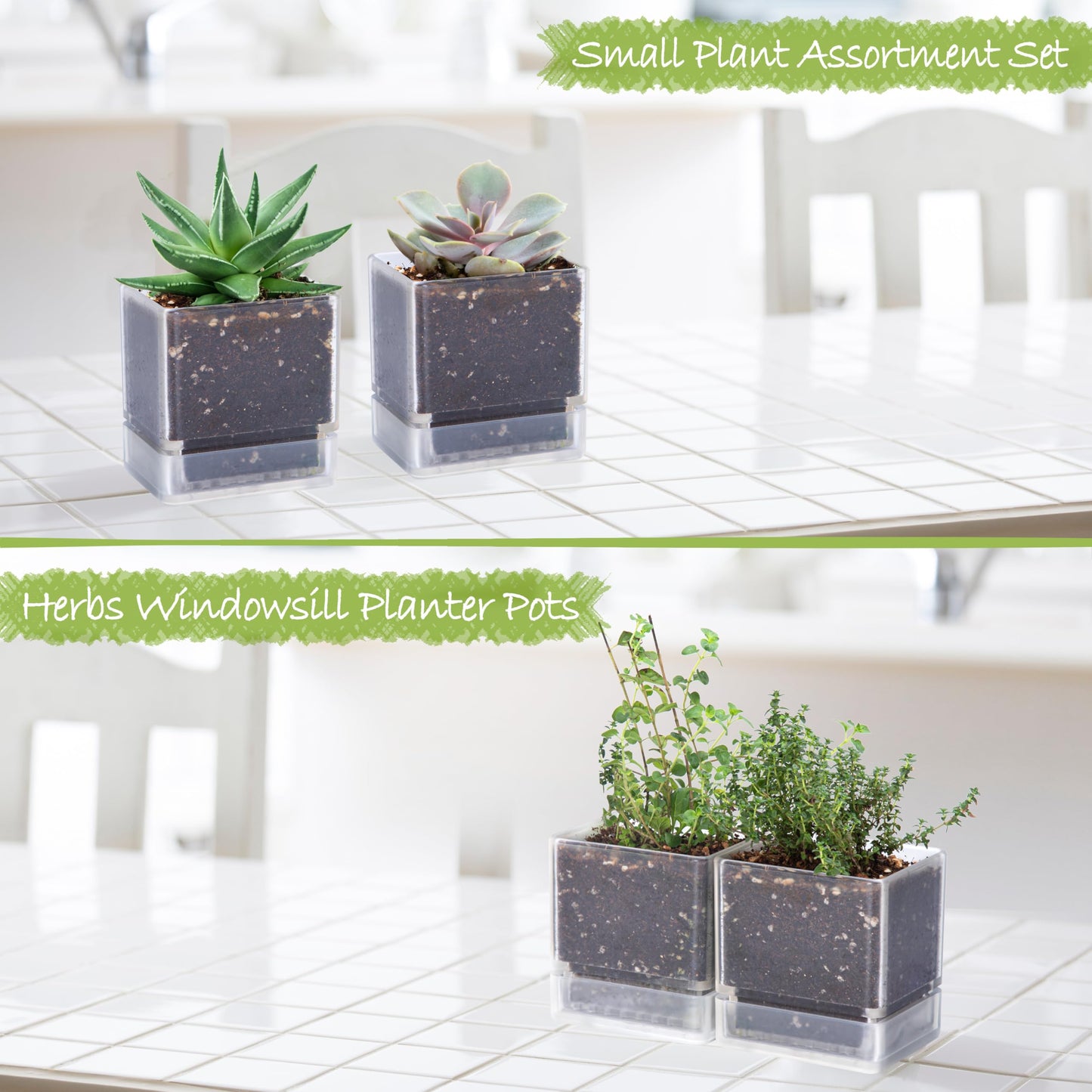 D'vine Dev 4 Inch Herb Planter Pots, Acrylic Planter with Drainage Holes and Saucer, Modern Decorative Gardening Pot for Indoor Plants, Herbs, Succulents, Clear, Set of 2, 76-Y-D-2